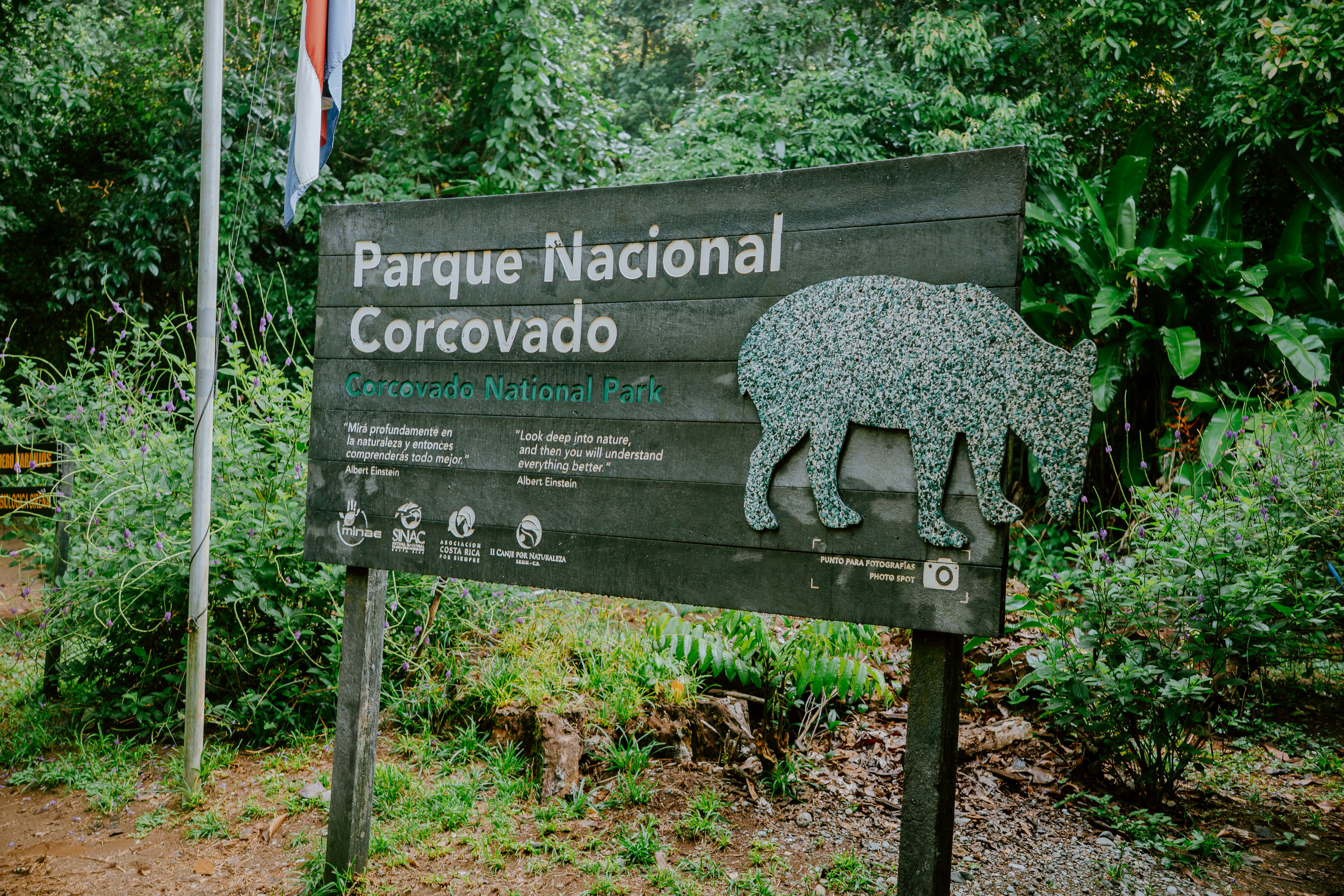 Corcovado National Park, Costa Rica - None