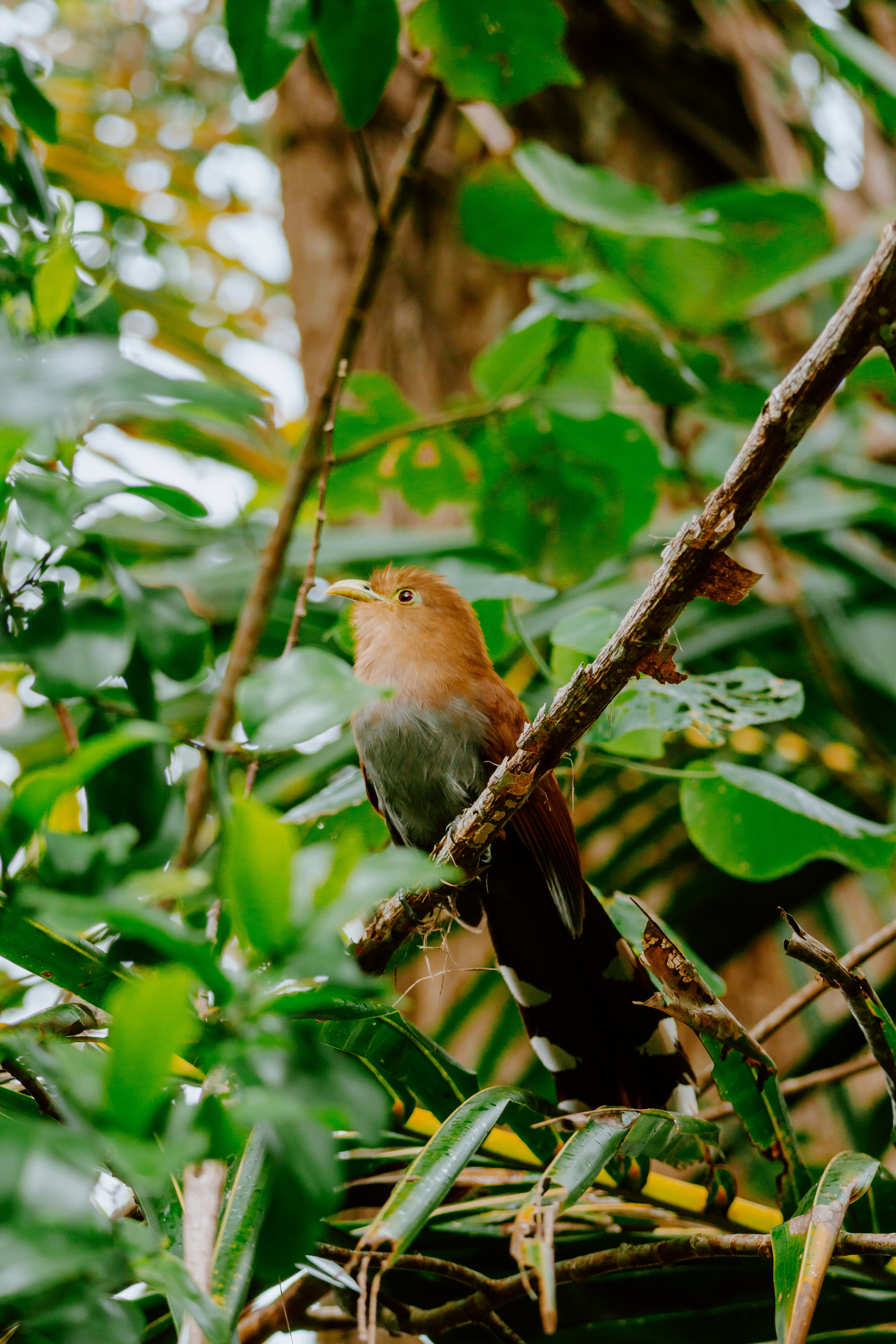 Photo by filizelaerts