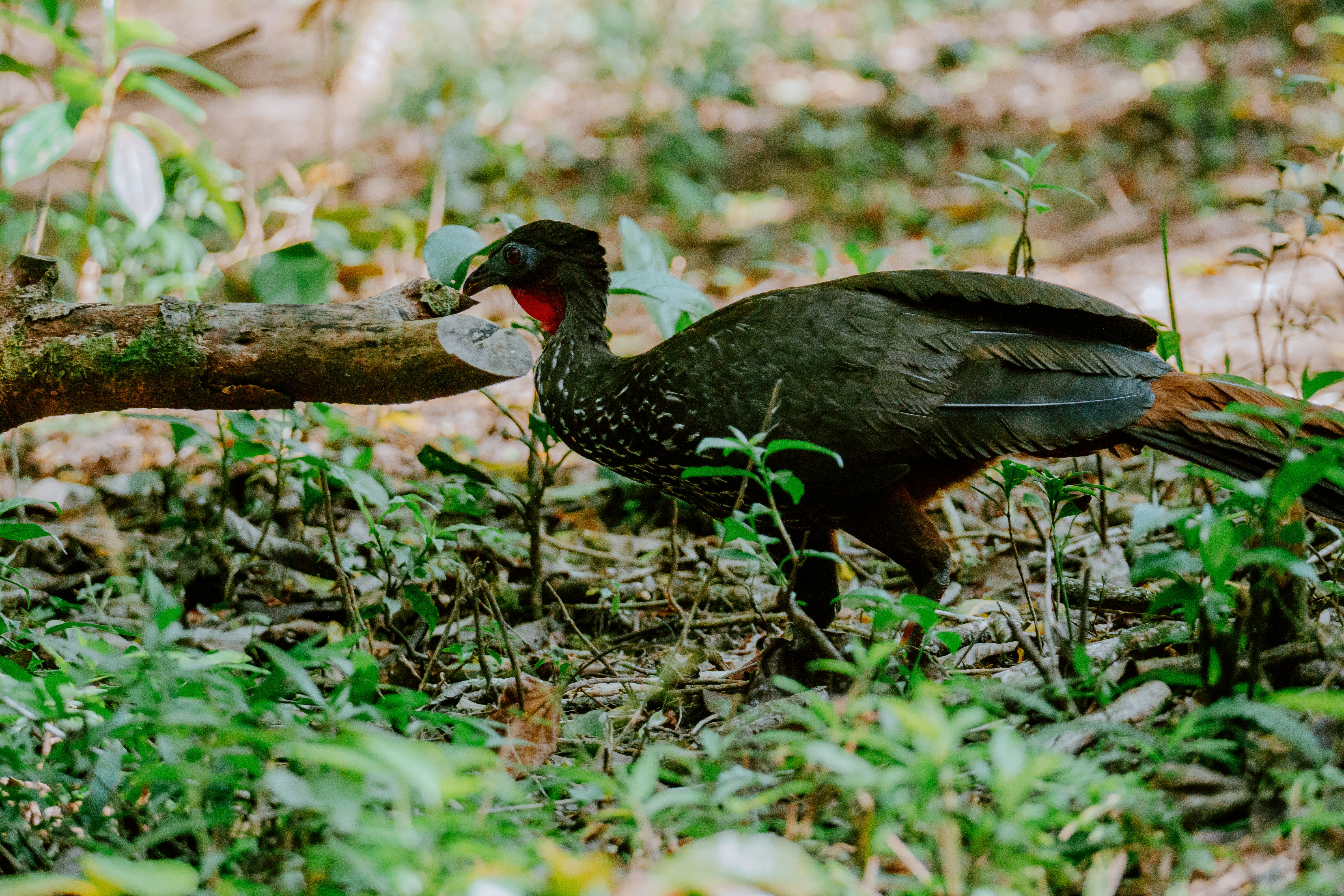 Photo by filizelaerts