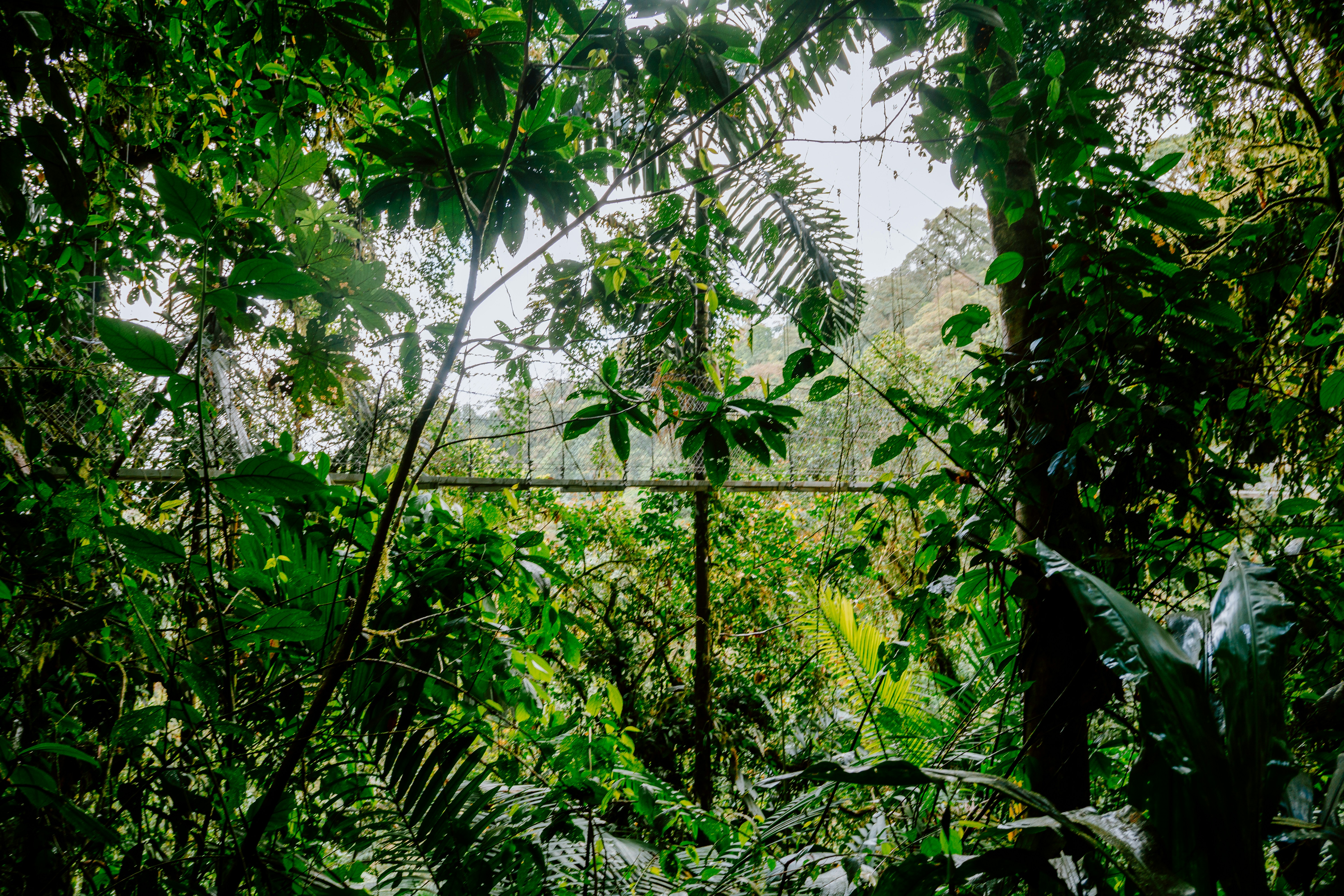 Photo by filizelaerts