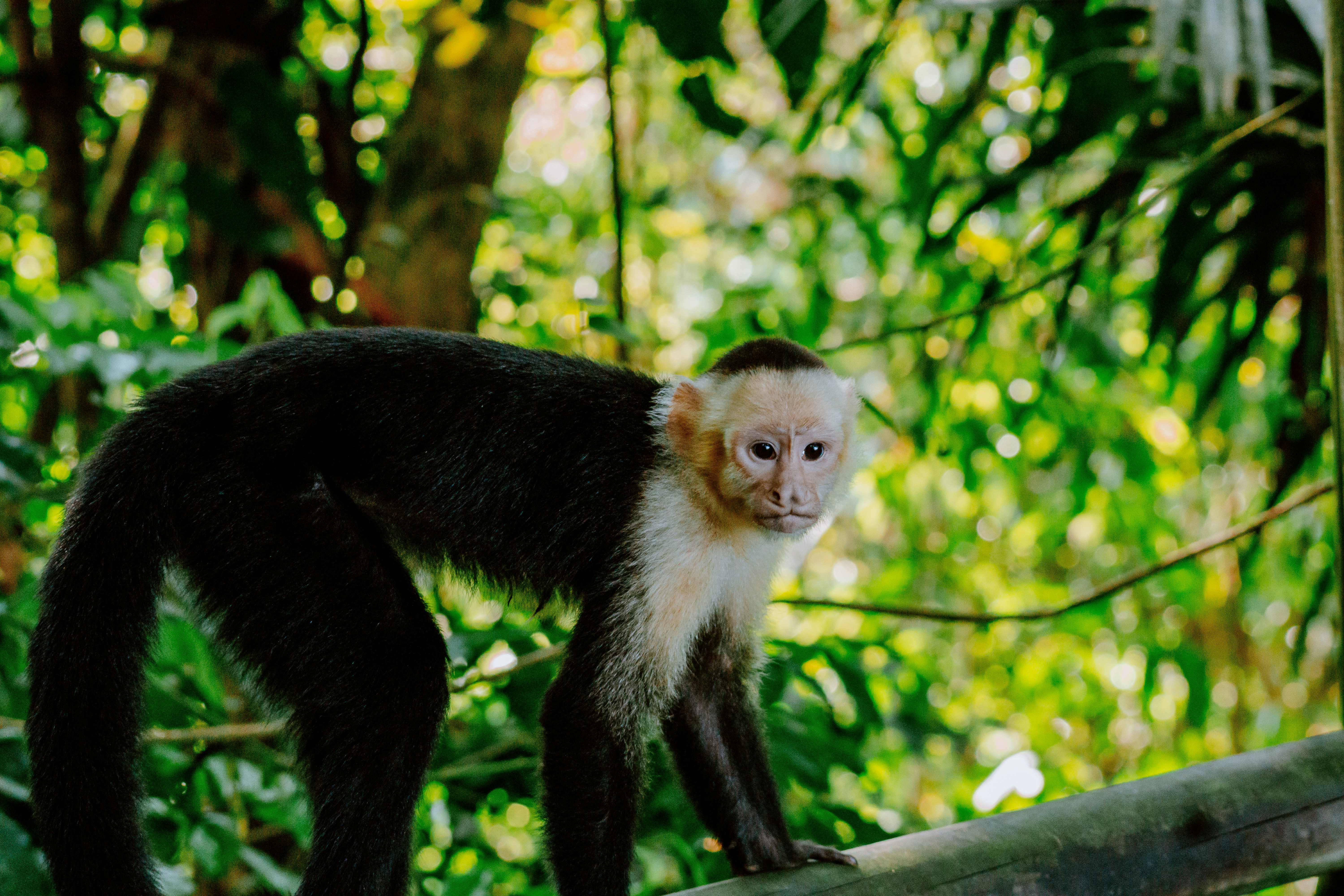 Photo by filizelaerts