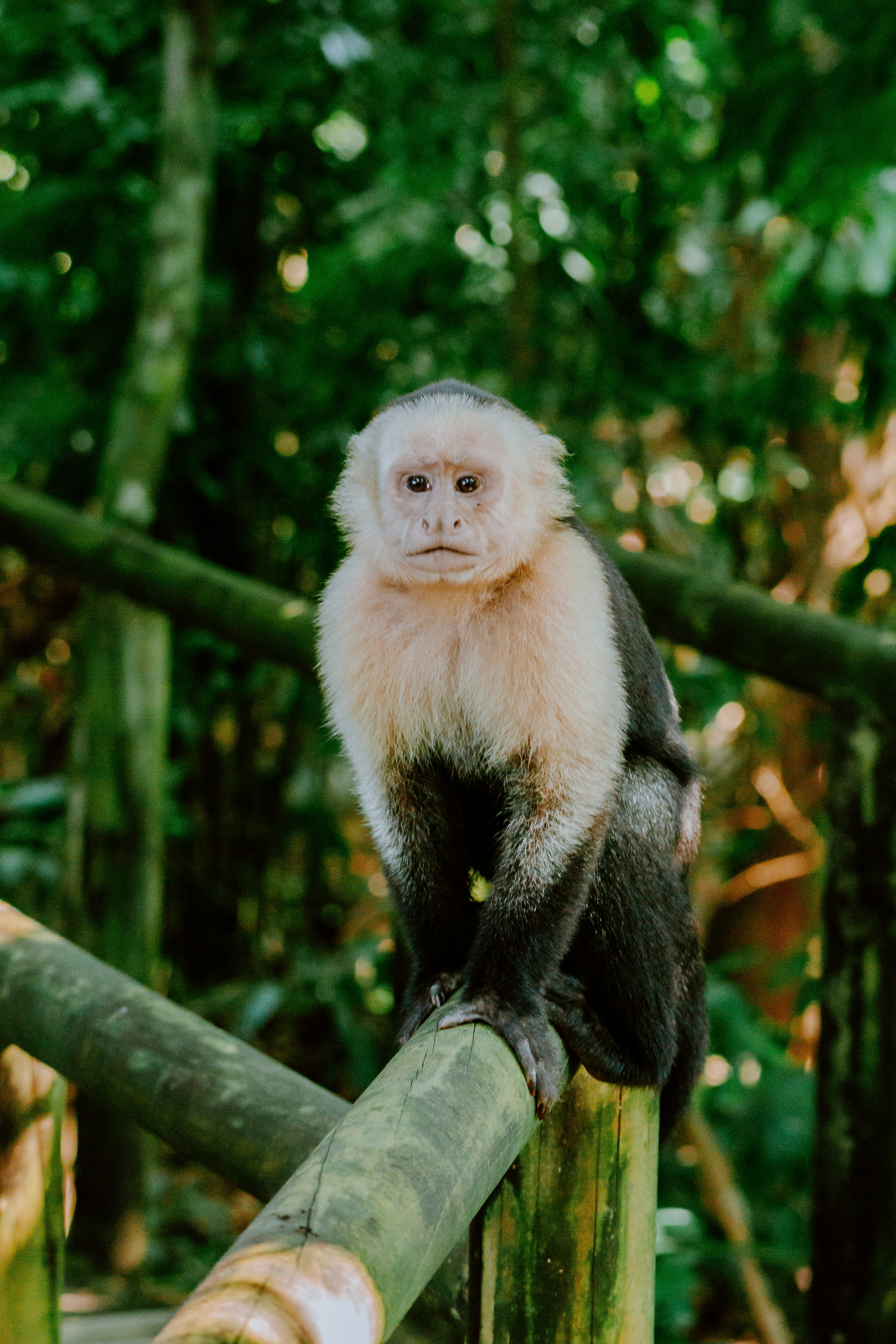 Photo by filizelaerts