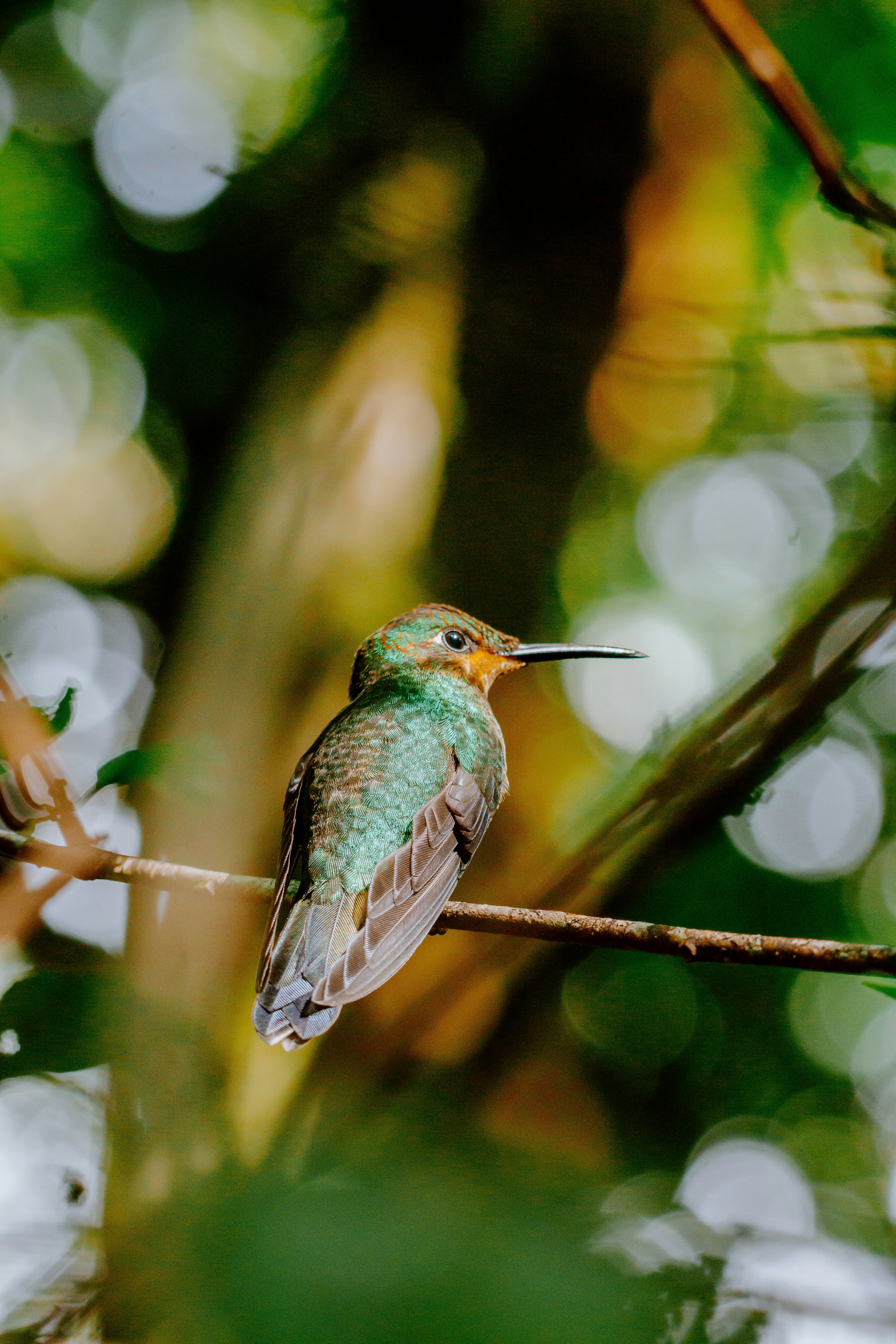 Photo by filizelaerts