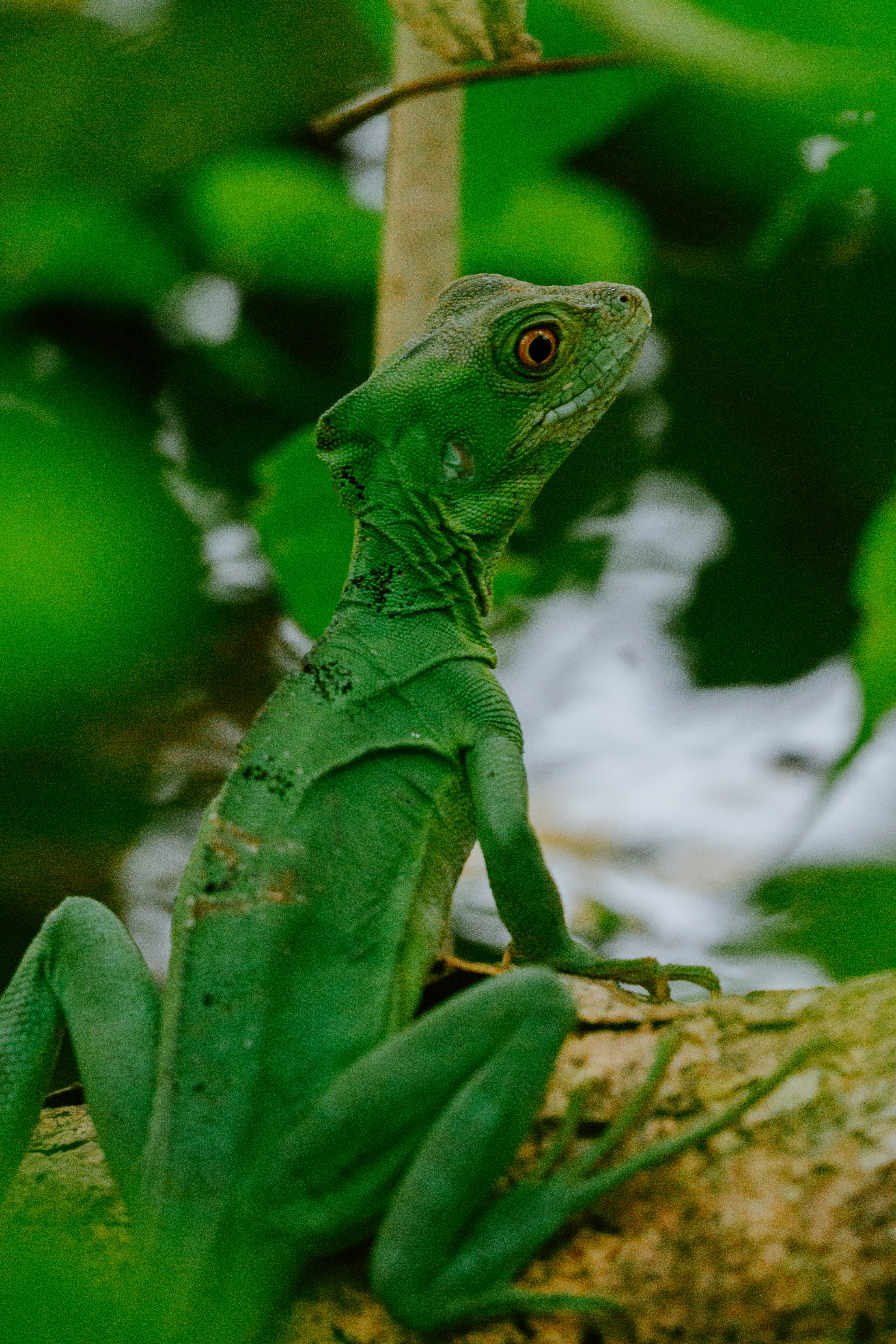 Photo by filizelaerts