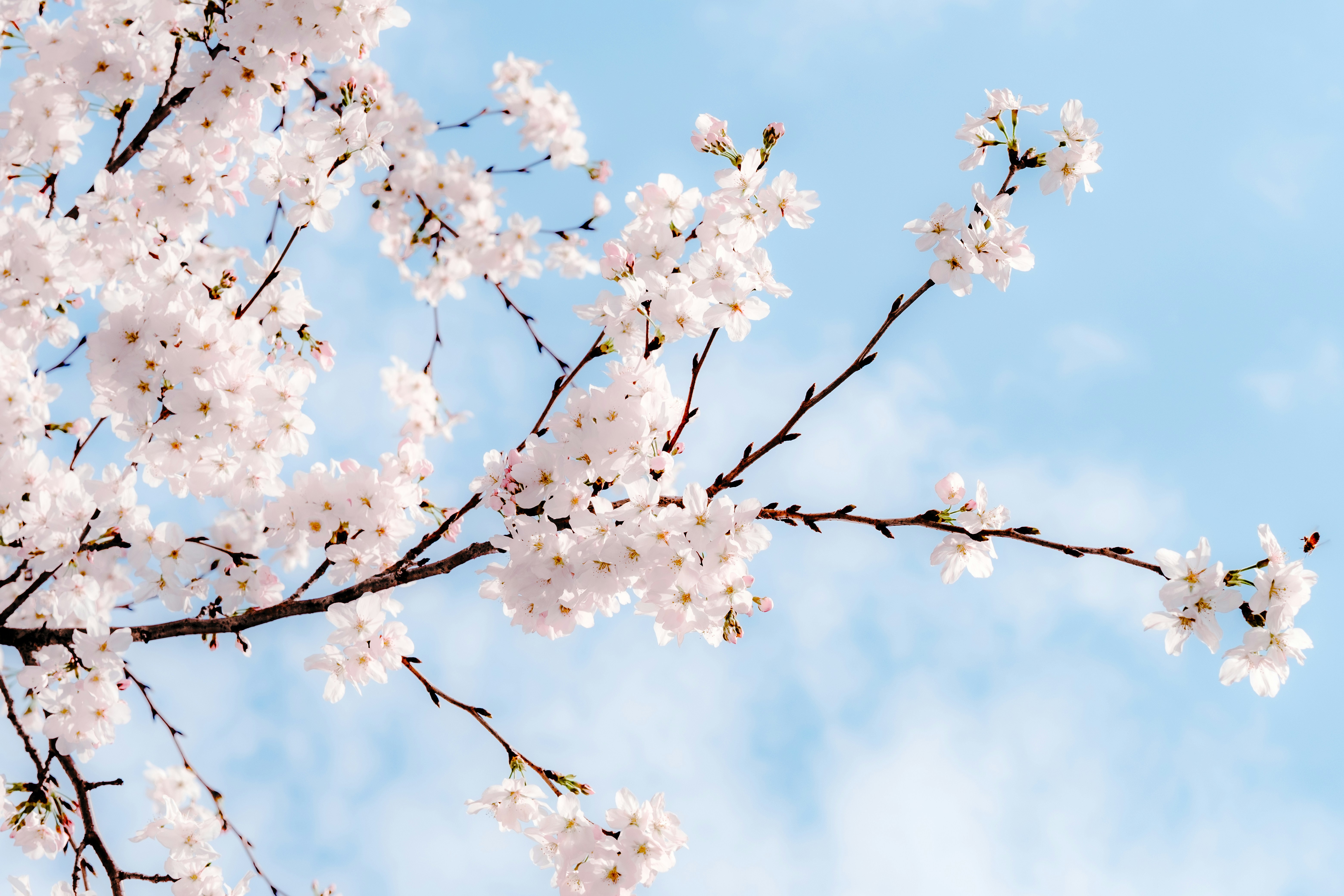 Photo by wenhao_ruan