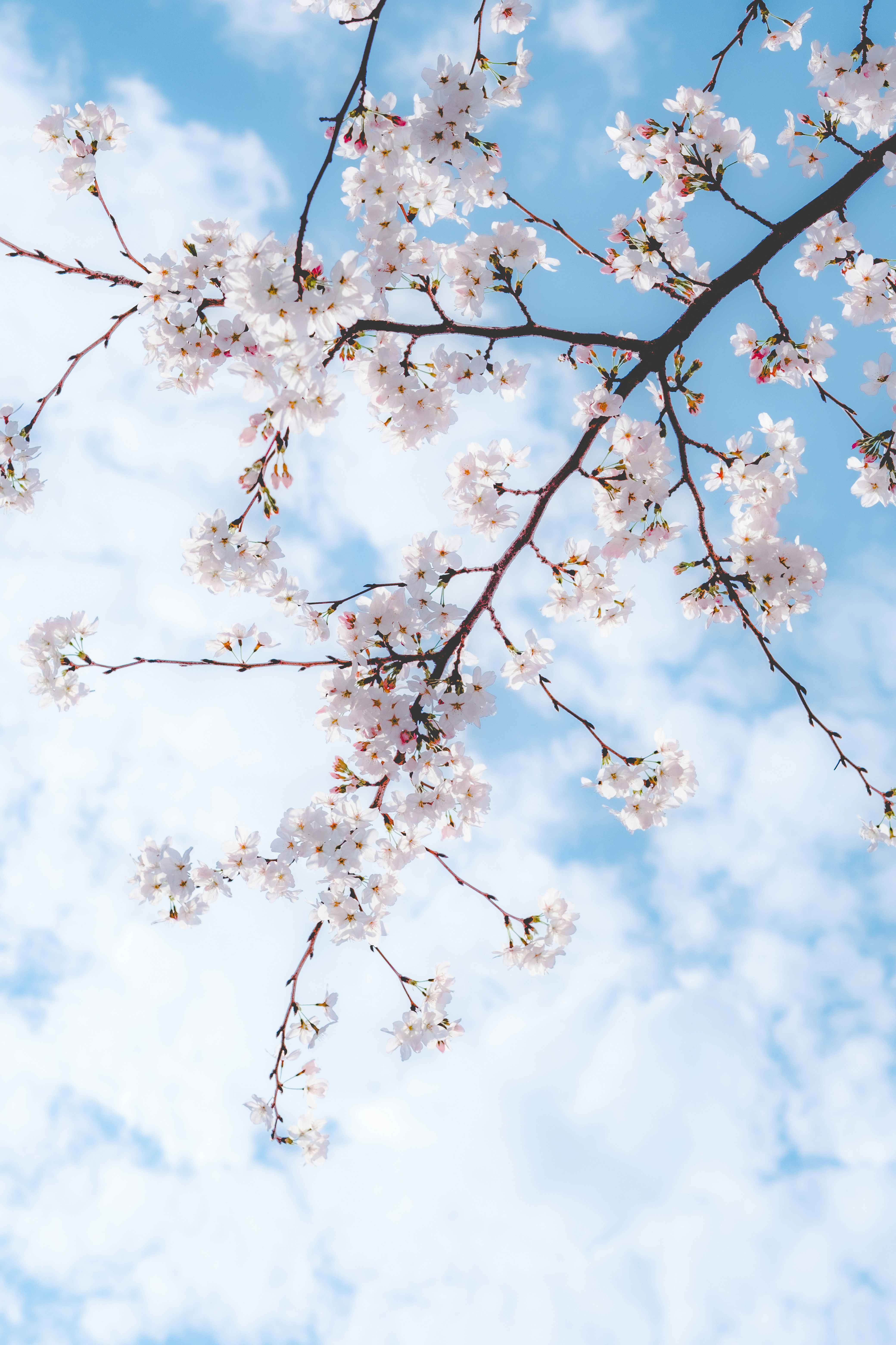 Photo by wenhao_ruan