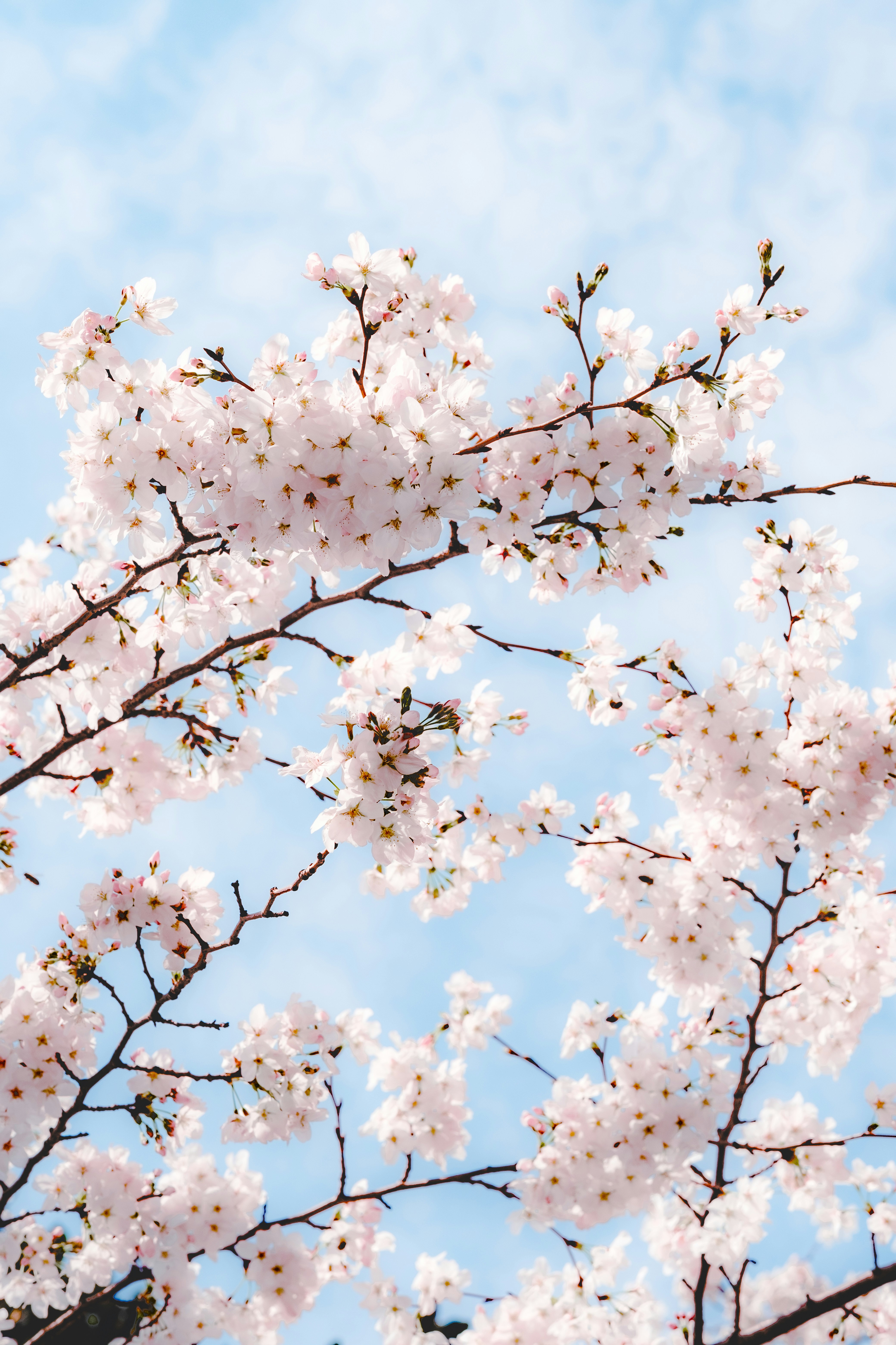 Photo by wenhao_ruan