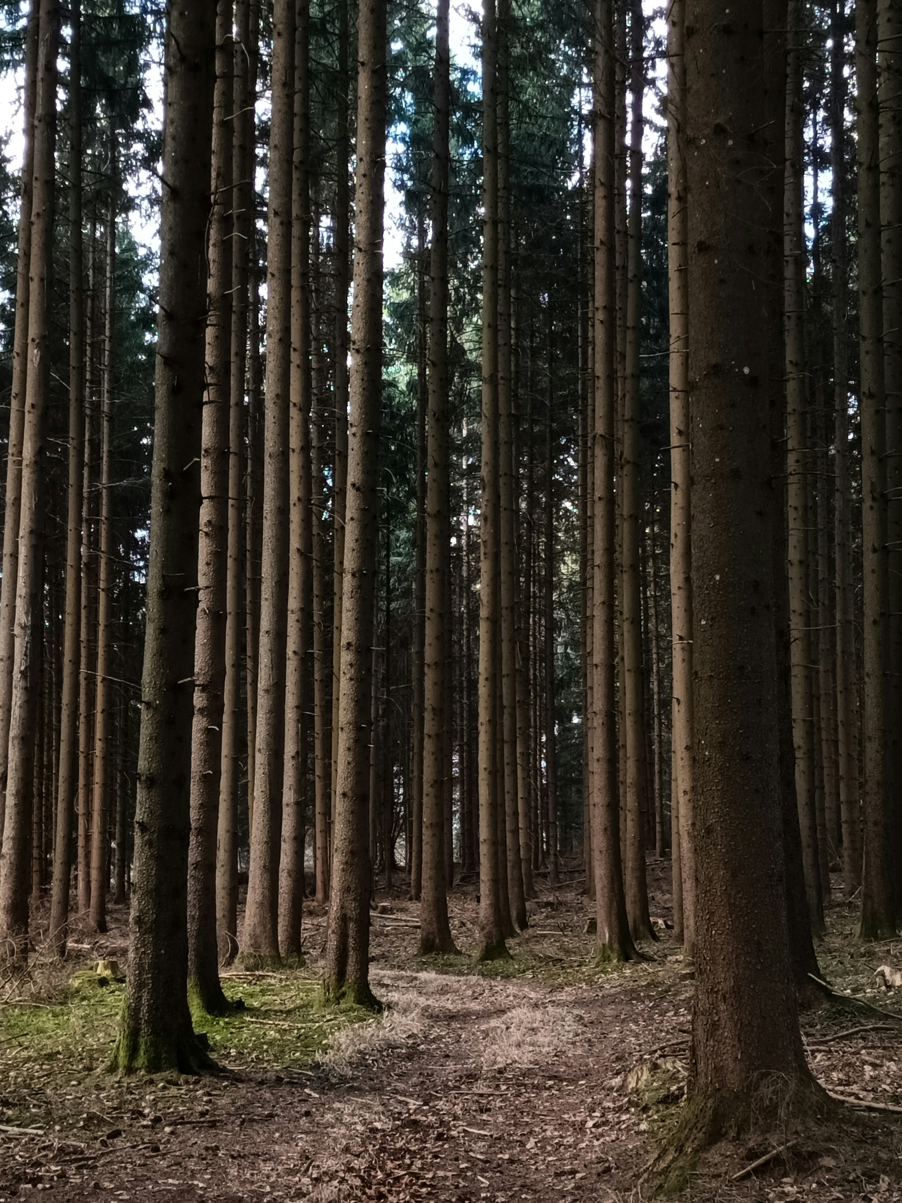 Photo by barbara_light