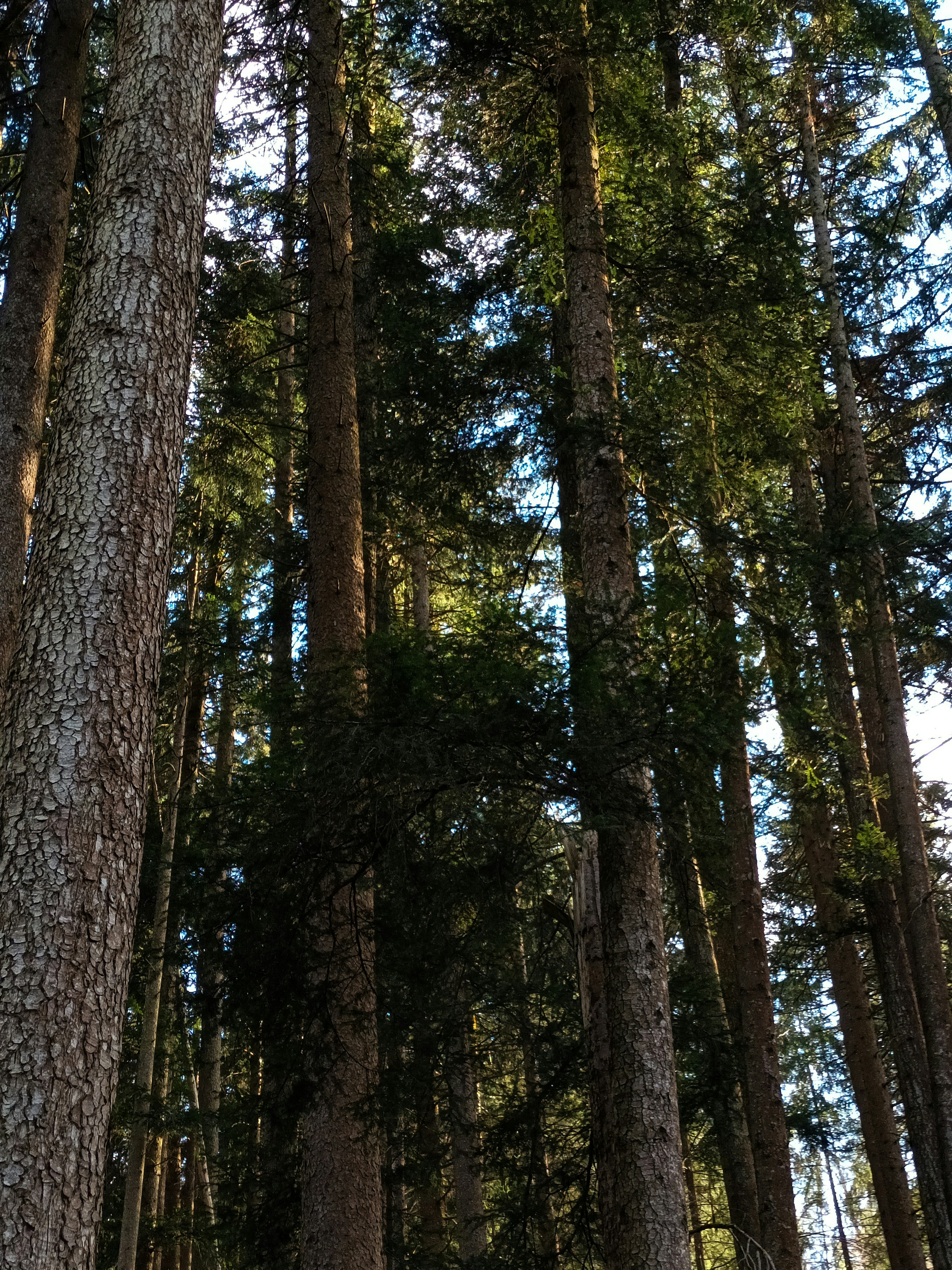 Photo by barbara_light