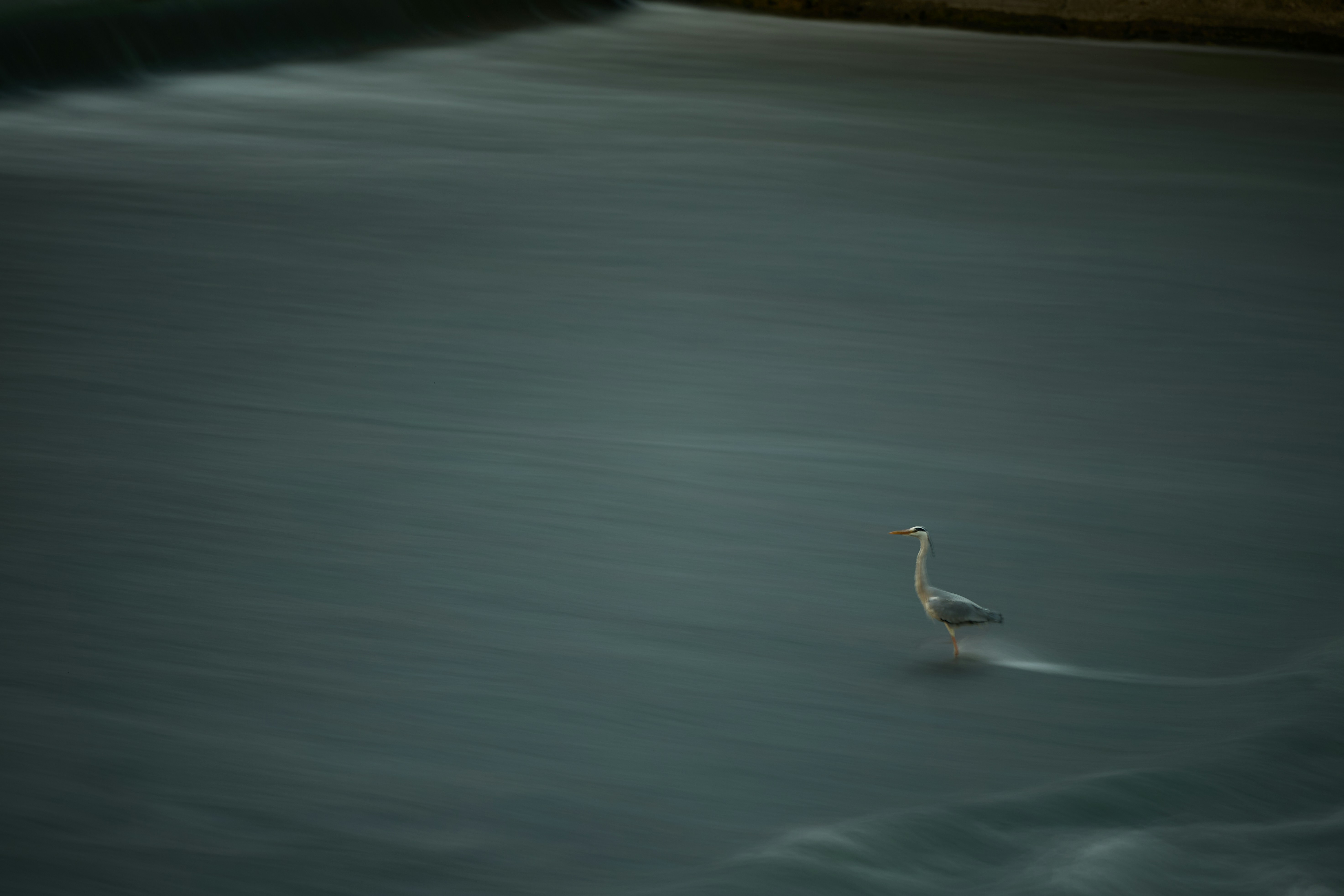 Photo by lizim