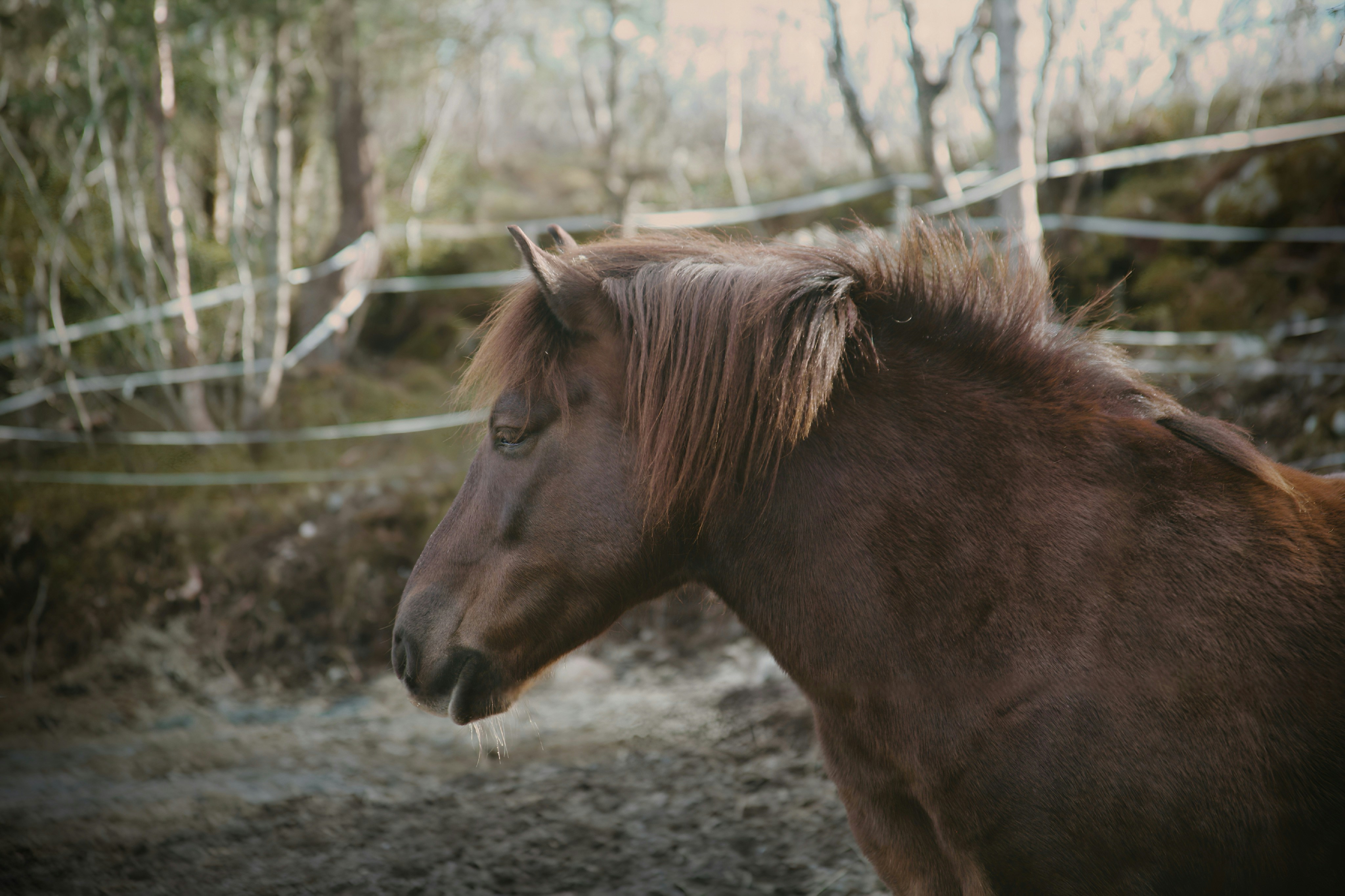 Photo by kristinokarlsen