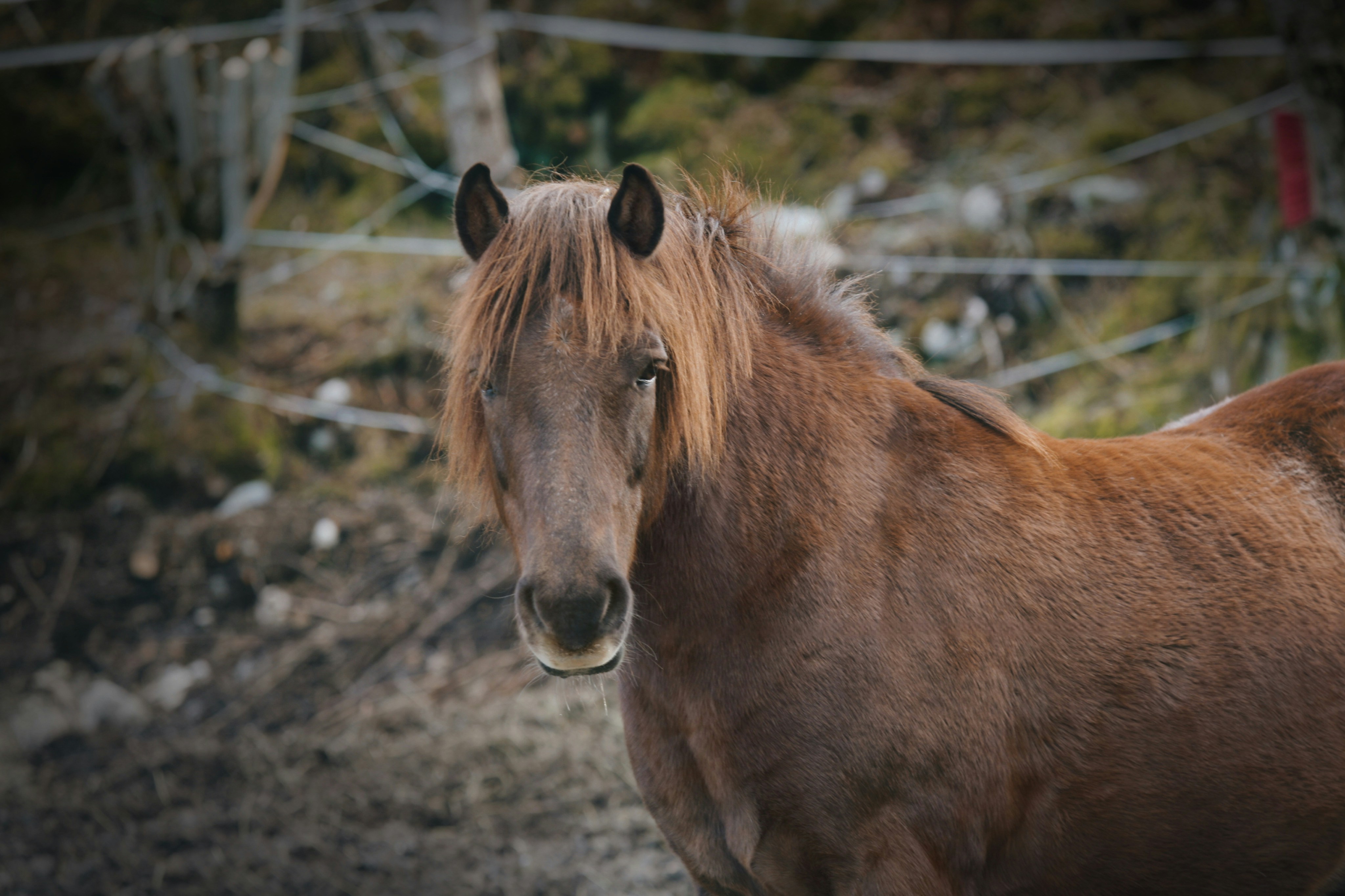 Photo by kristinokarlsen