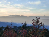 Best Free Things to Do in Ranikhet That Cost Absolutely Nothing
