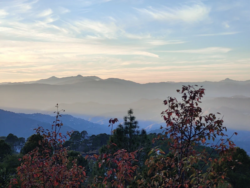 Best Free Things to Do in Ranikhet That Cost Absolutely Nothing