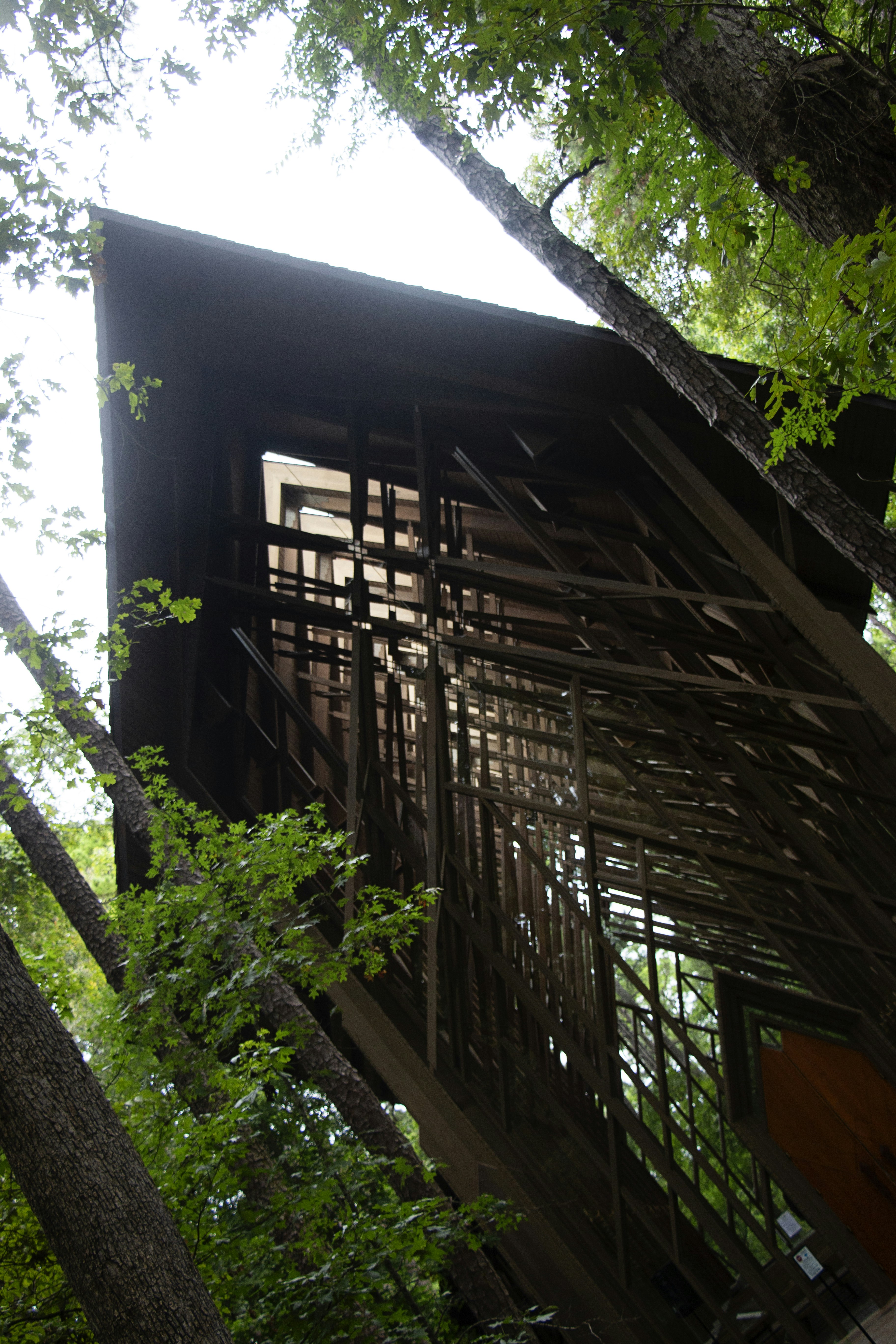 Une structure en bois se trouve au milieu des arbres.
