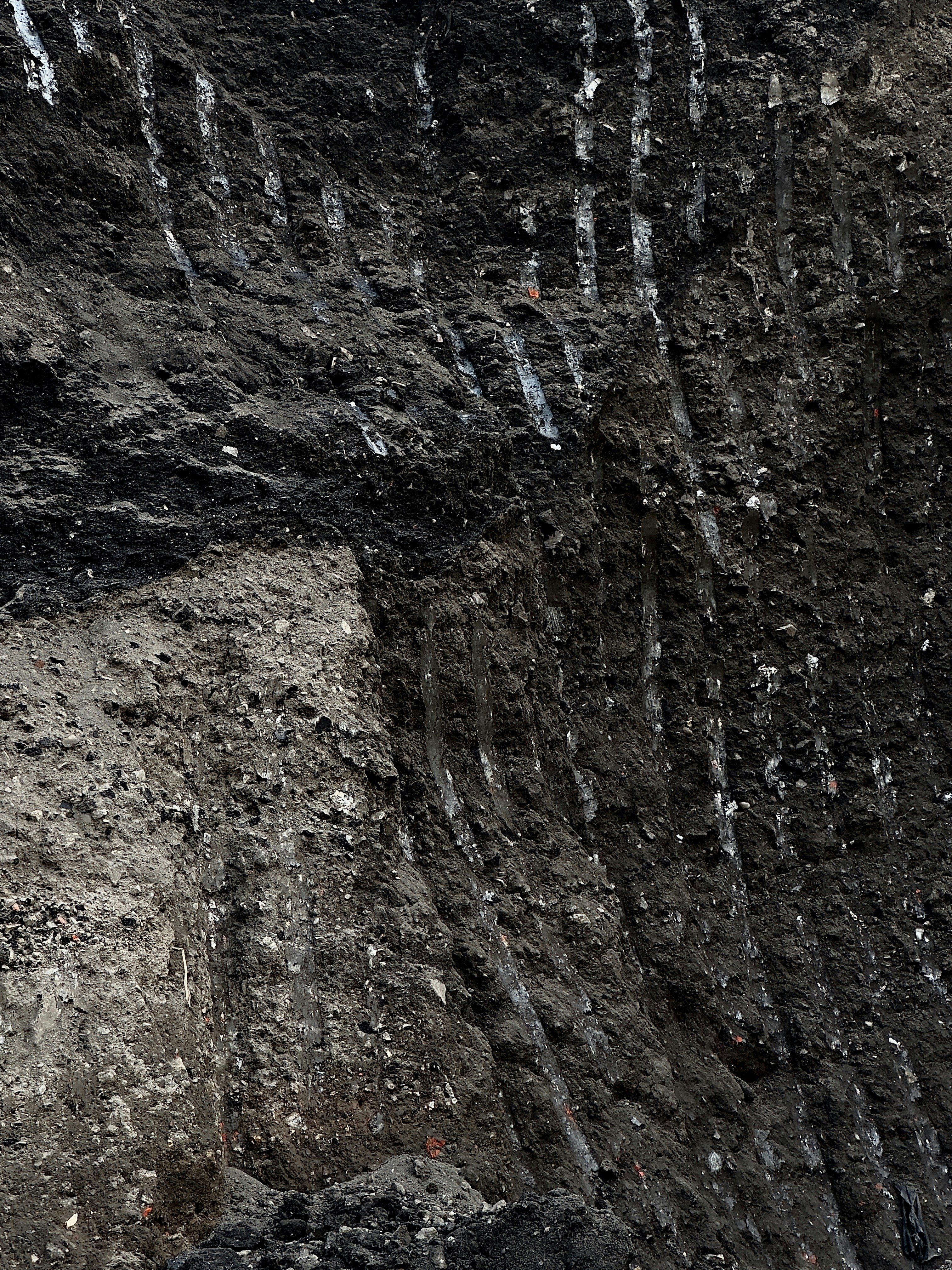 Photo by alexander_skrypnikov