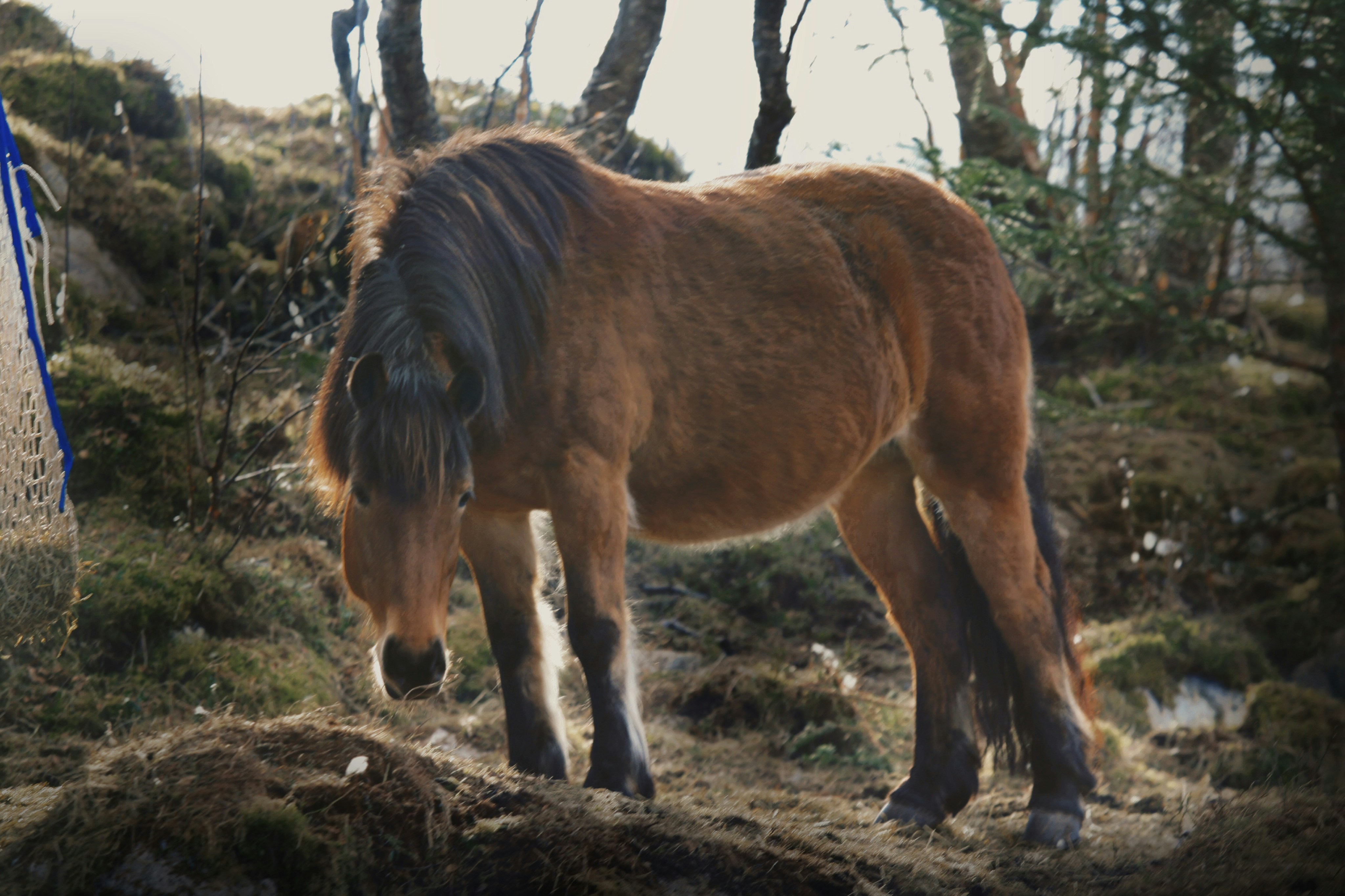 Photo by kristinokarlsen