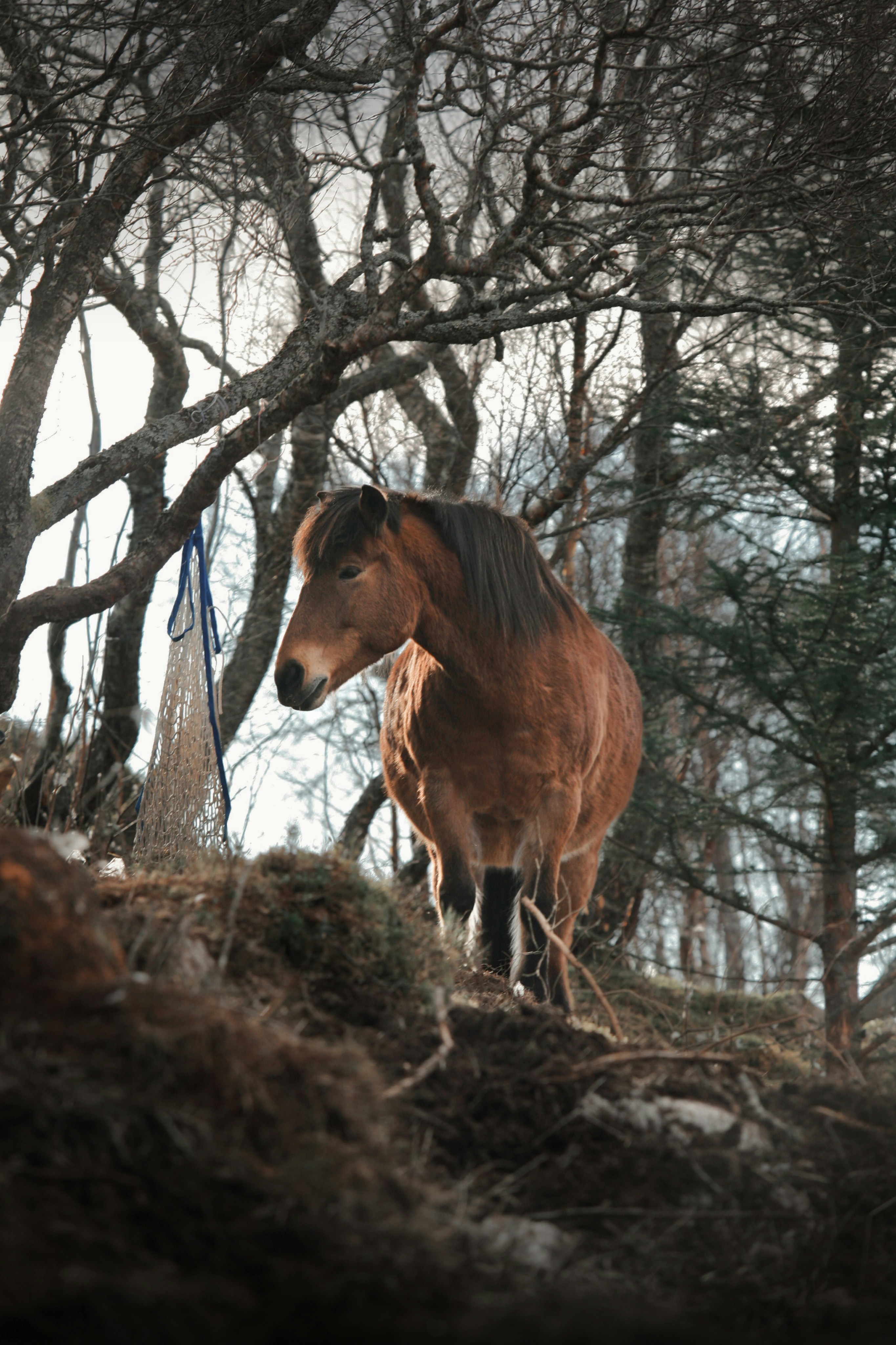 Photo by kristinokarlsen