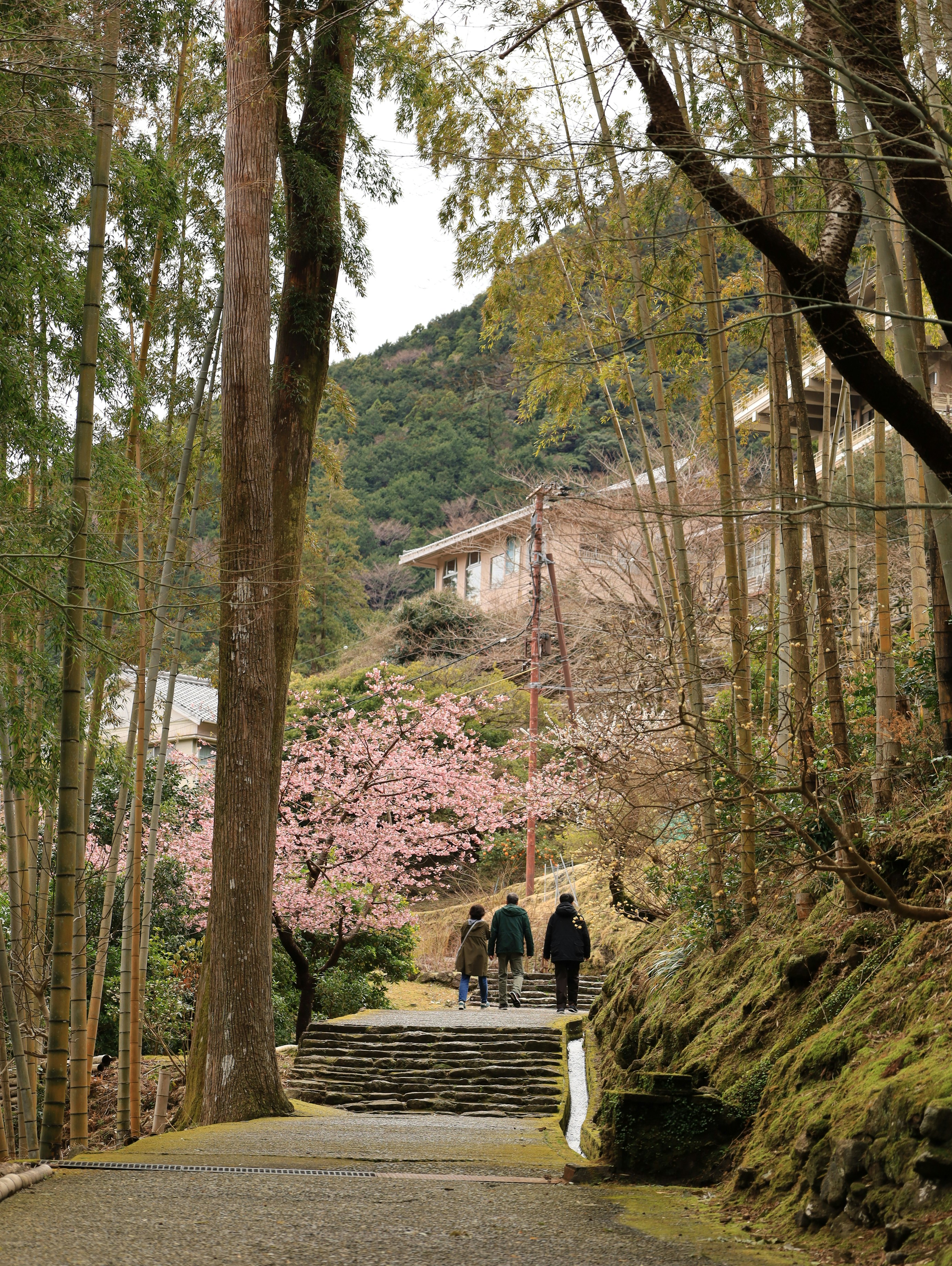 Photo by barrelrider