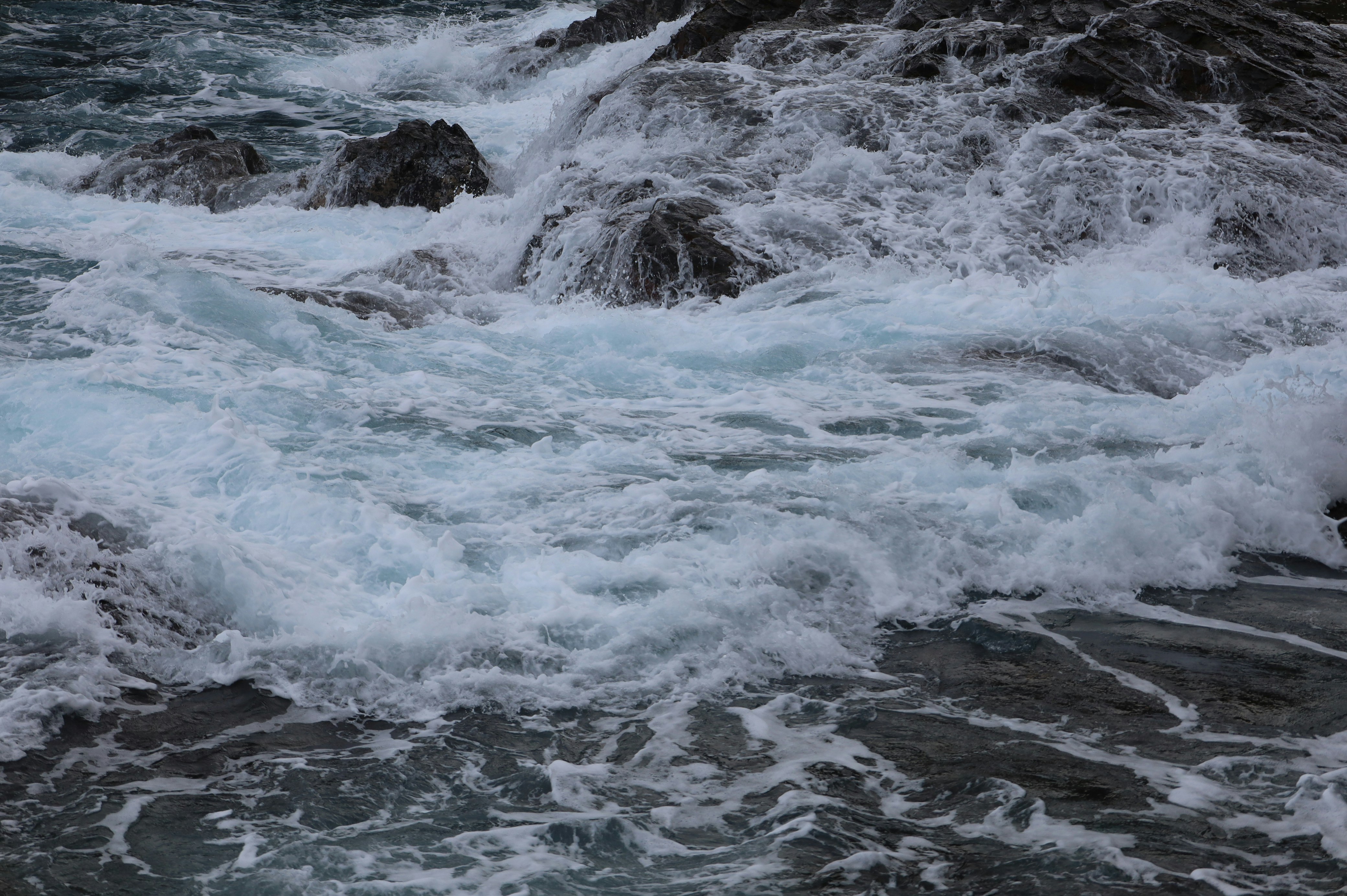 Photo by barrelrider