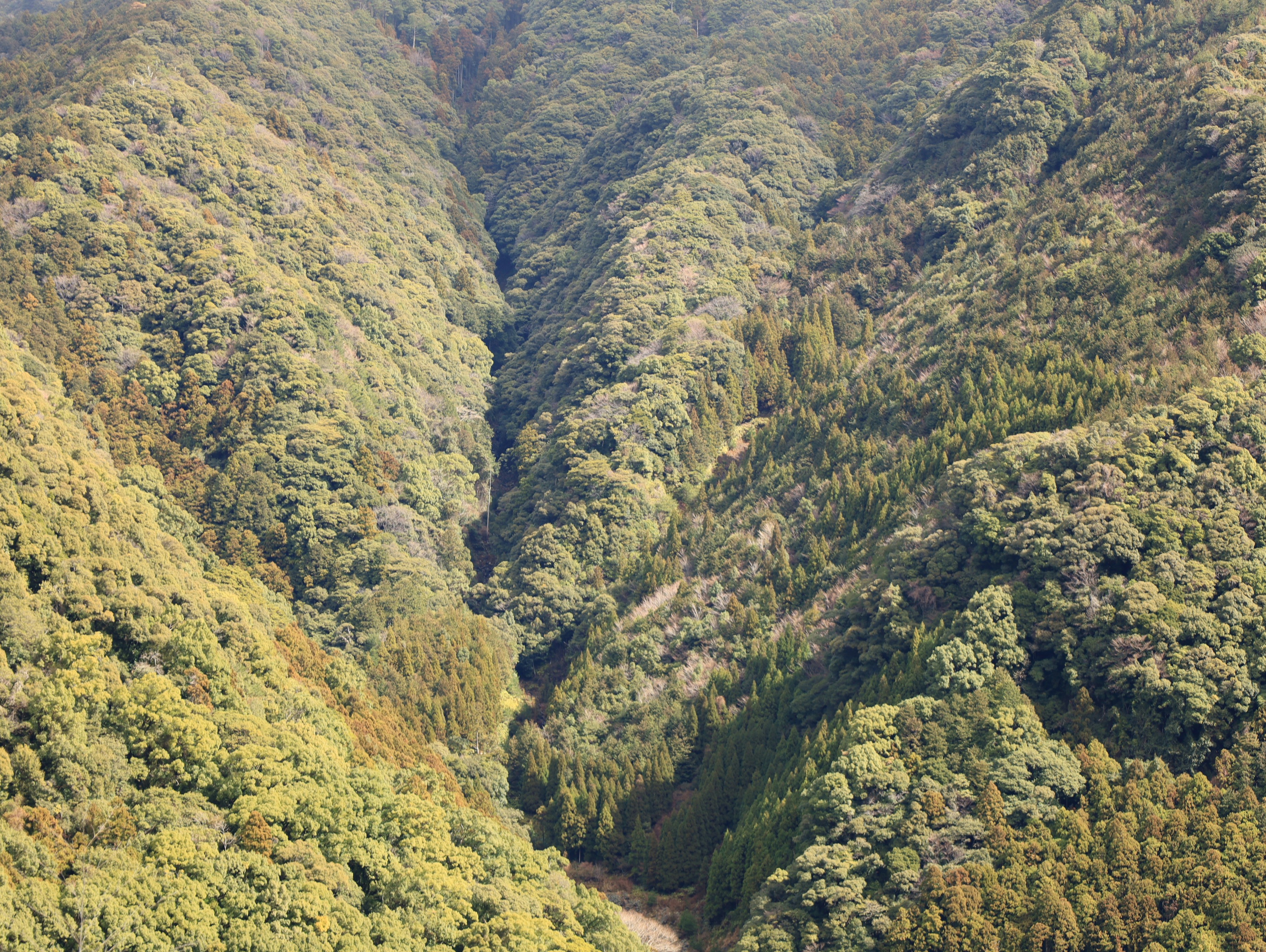 Photo by barrelrider