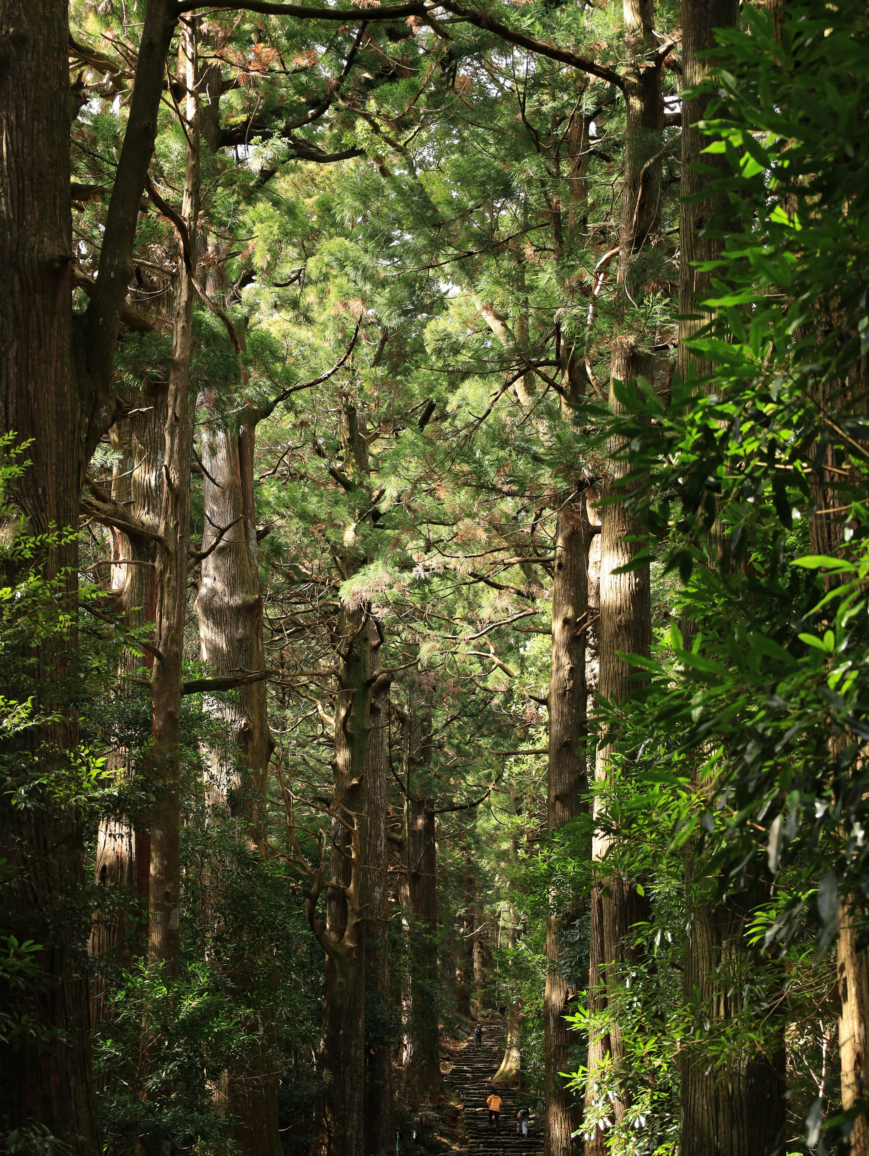 Photo by barrelrider