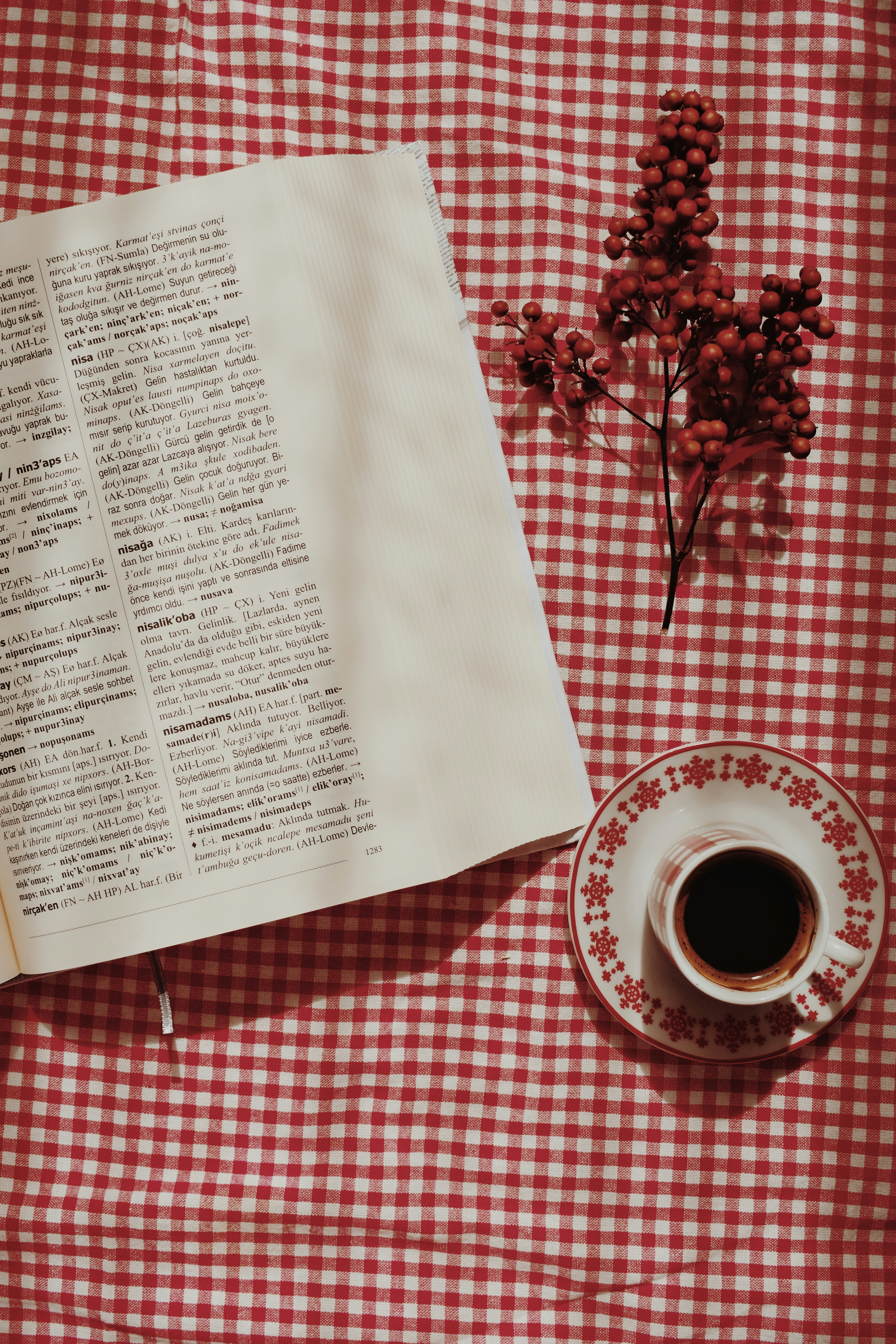 Photo by nisacokokumus