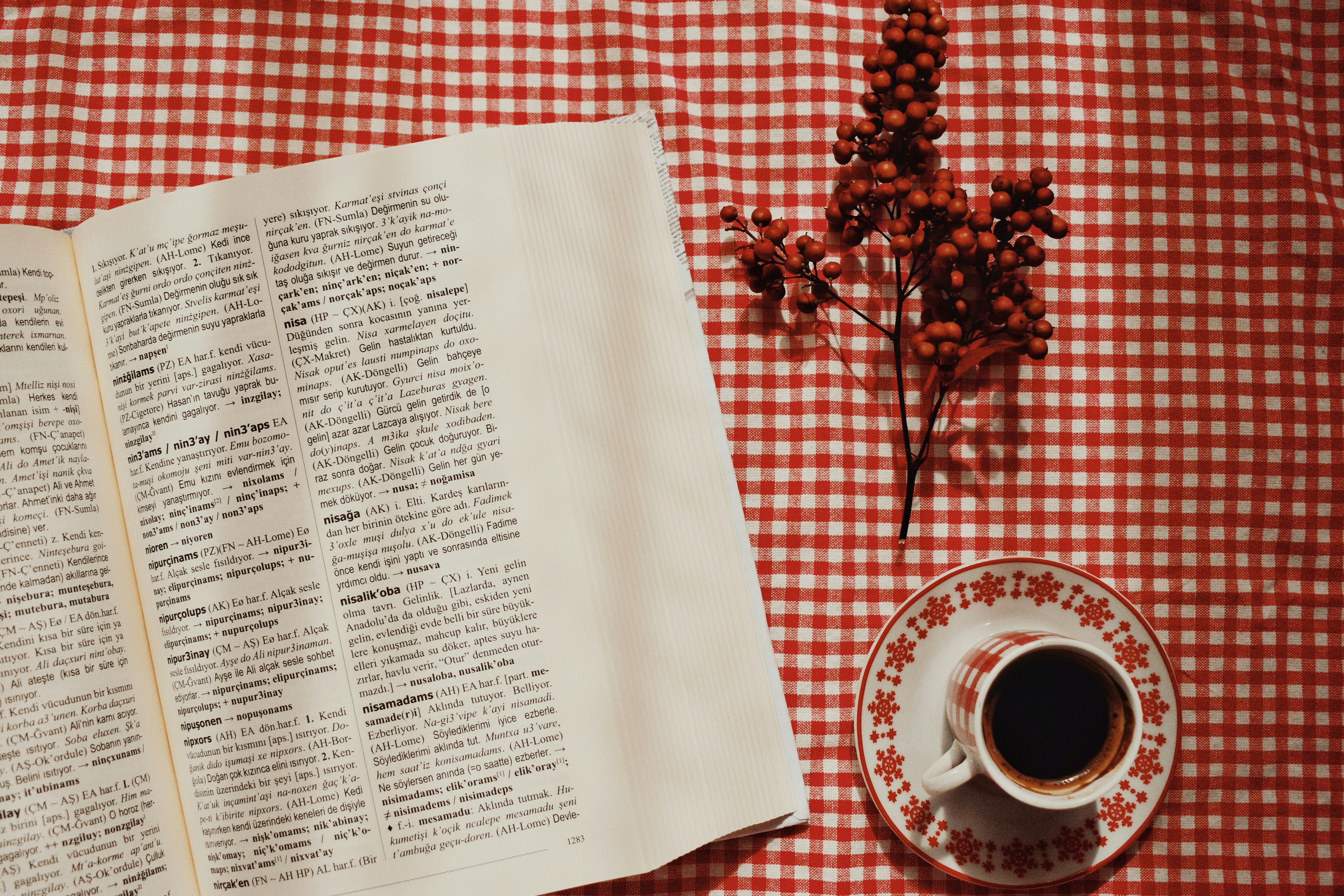 Photo by nisacokokumus