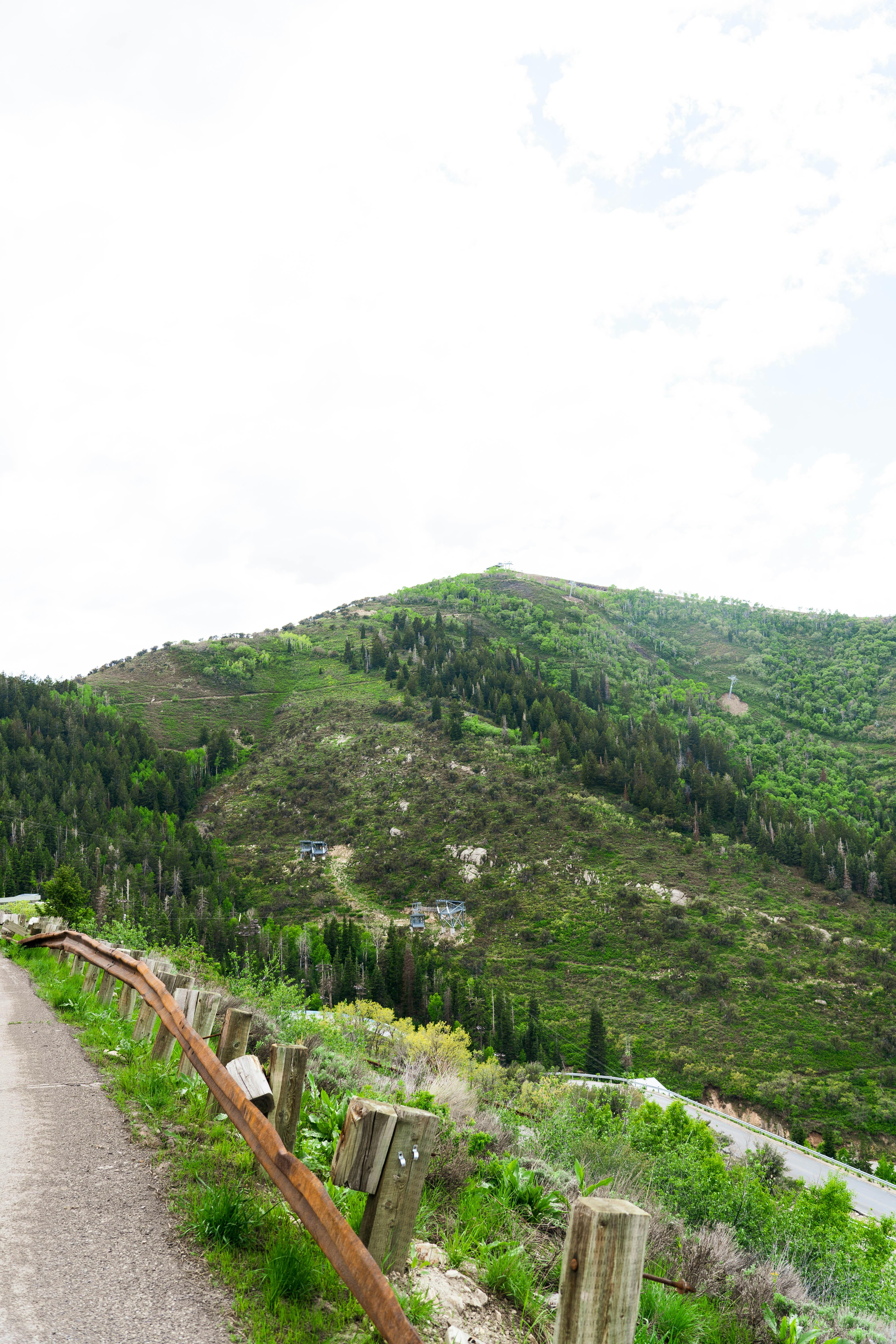 A mountain path leads to a green, forested hill.