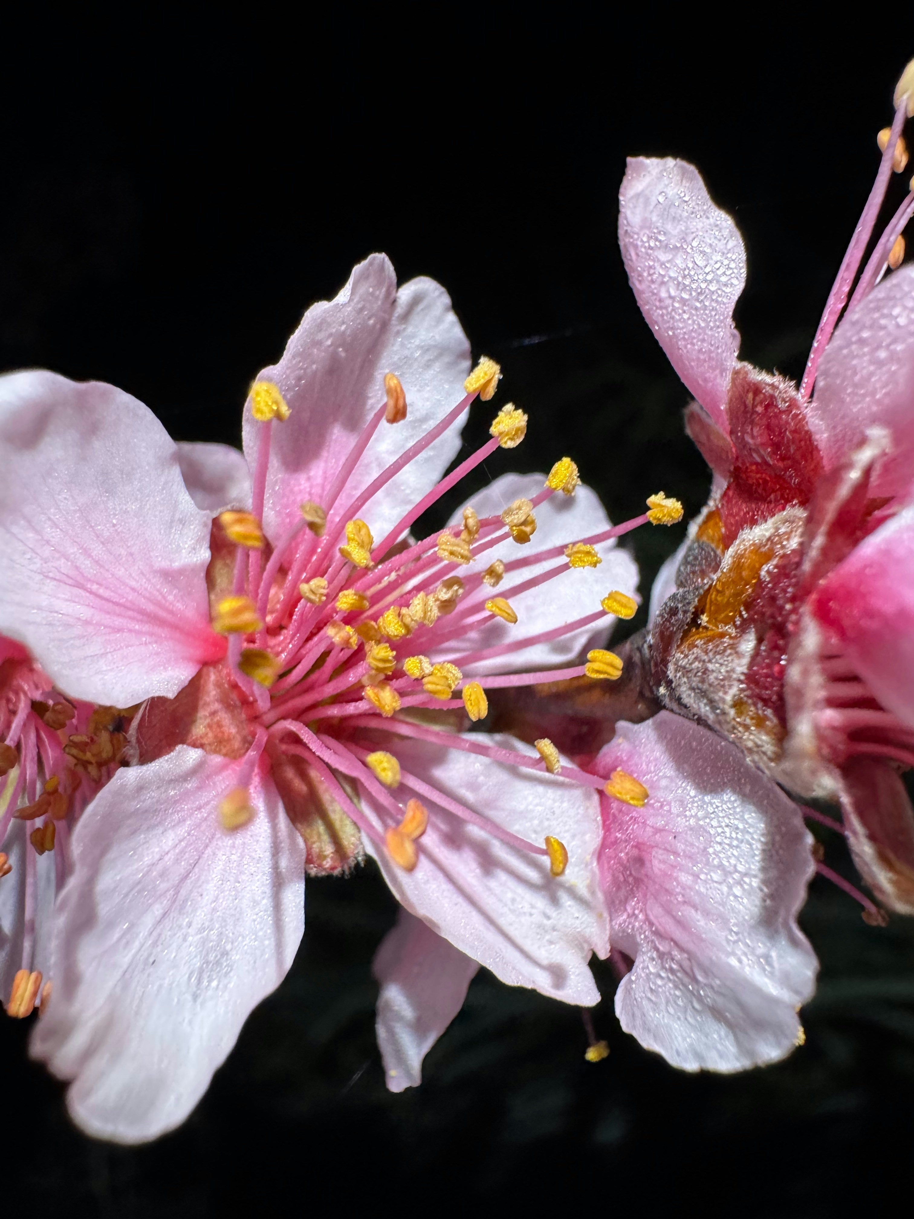 Photo by giampaoli_diego