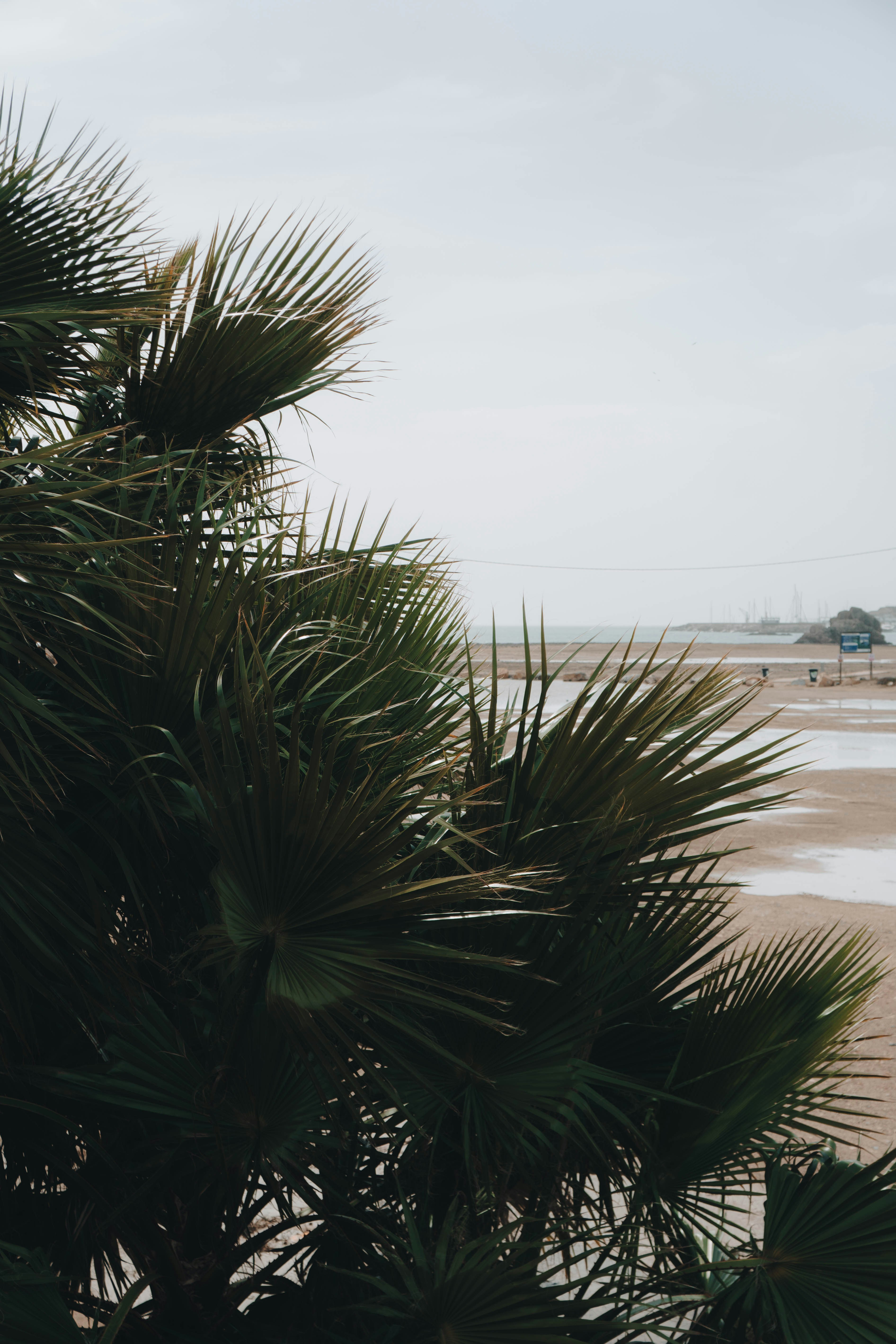 Photo by jeffersonsees