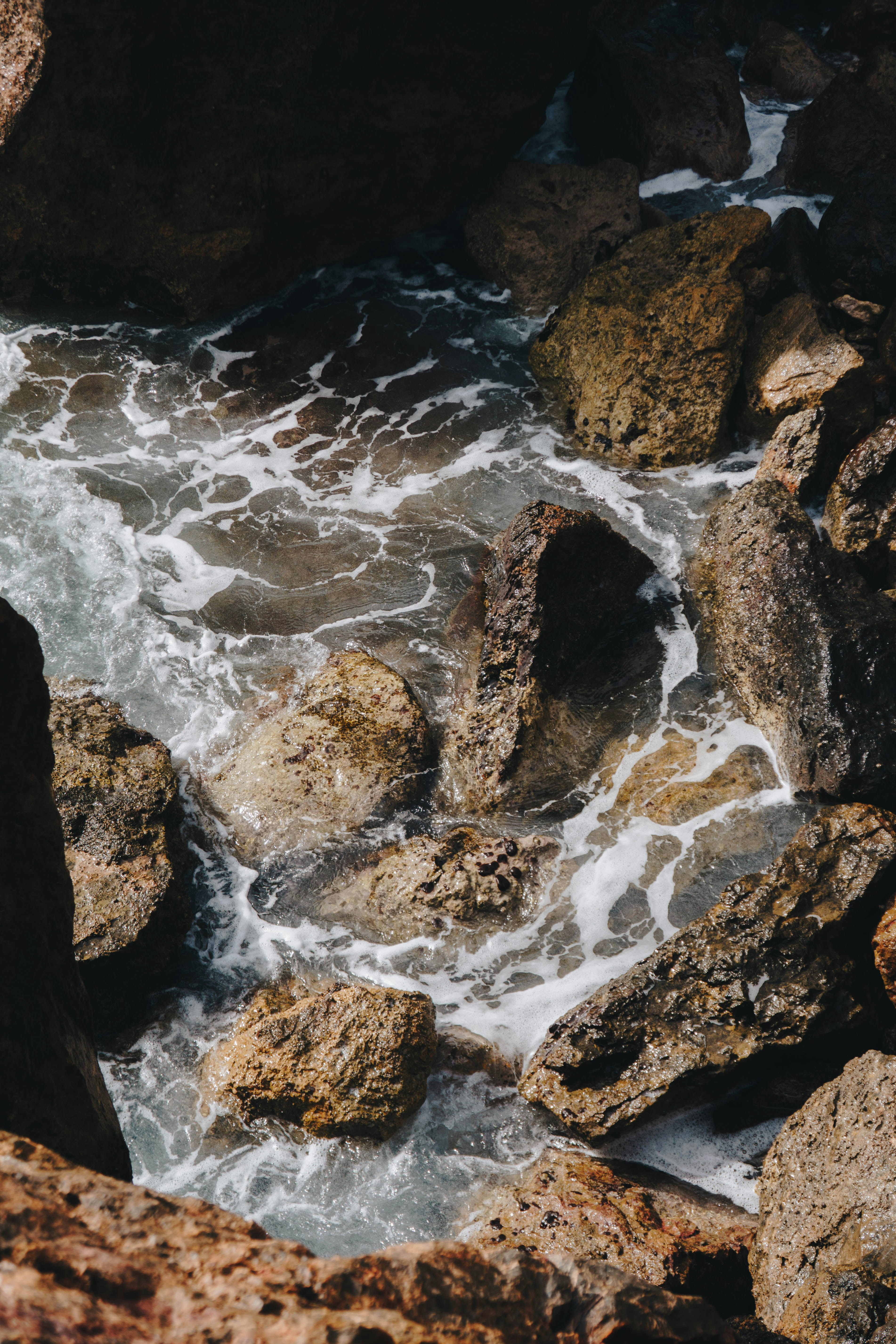 Photo by jeffersonsees