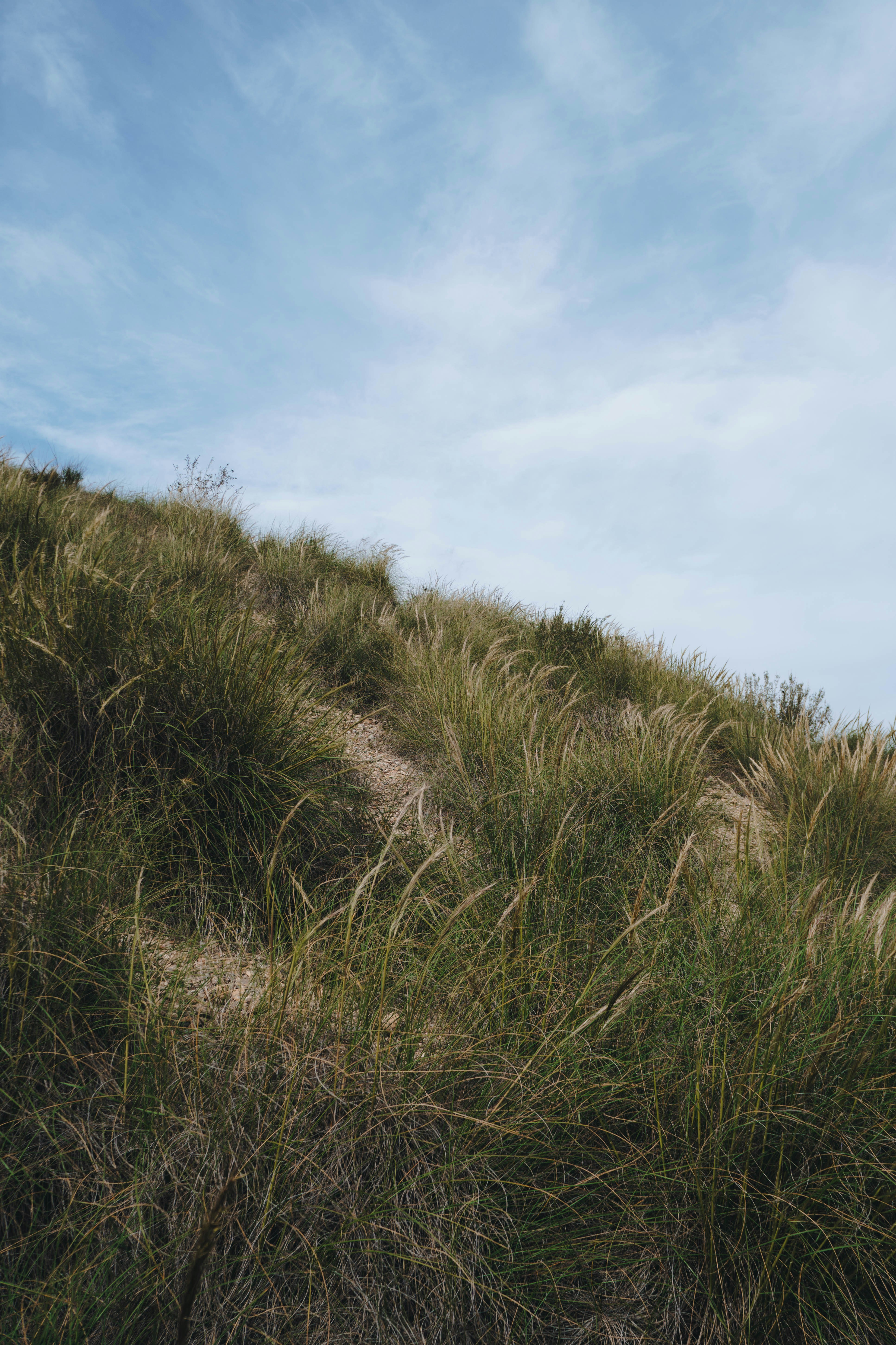 Photo by jeffersonsees