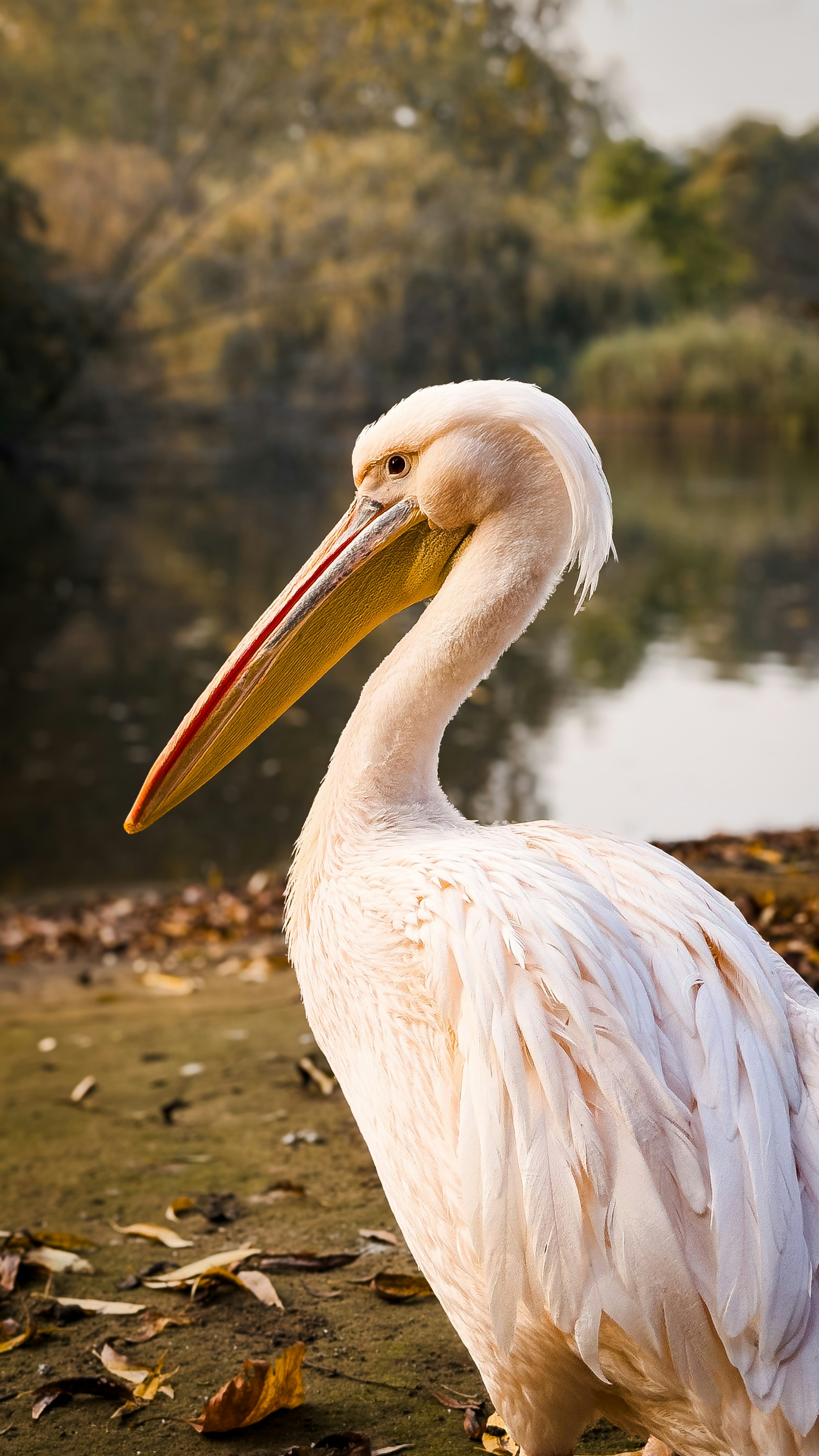 Photo by guglielmobasile