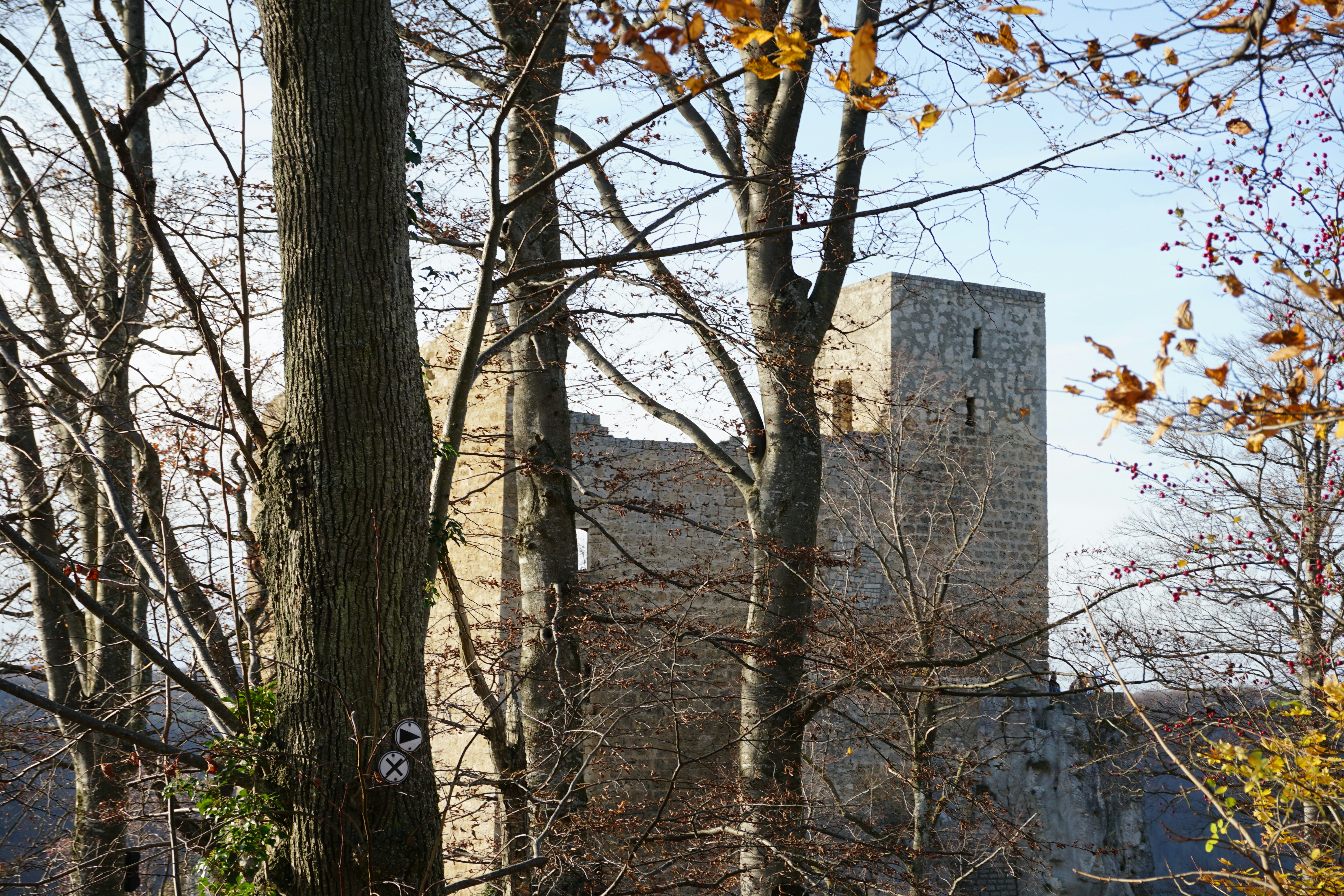 Photo by ingo_scheffer