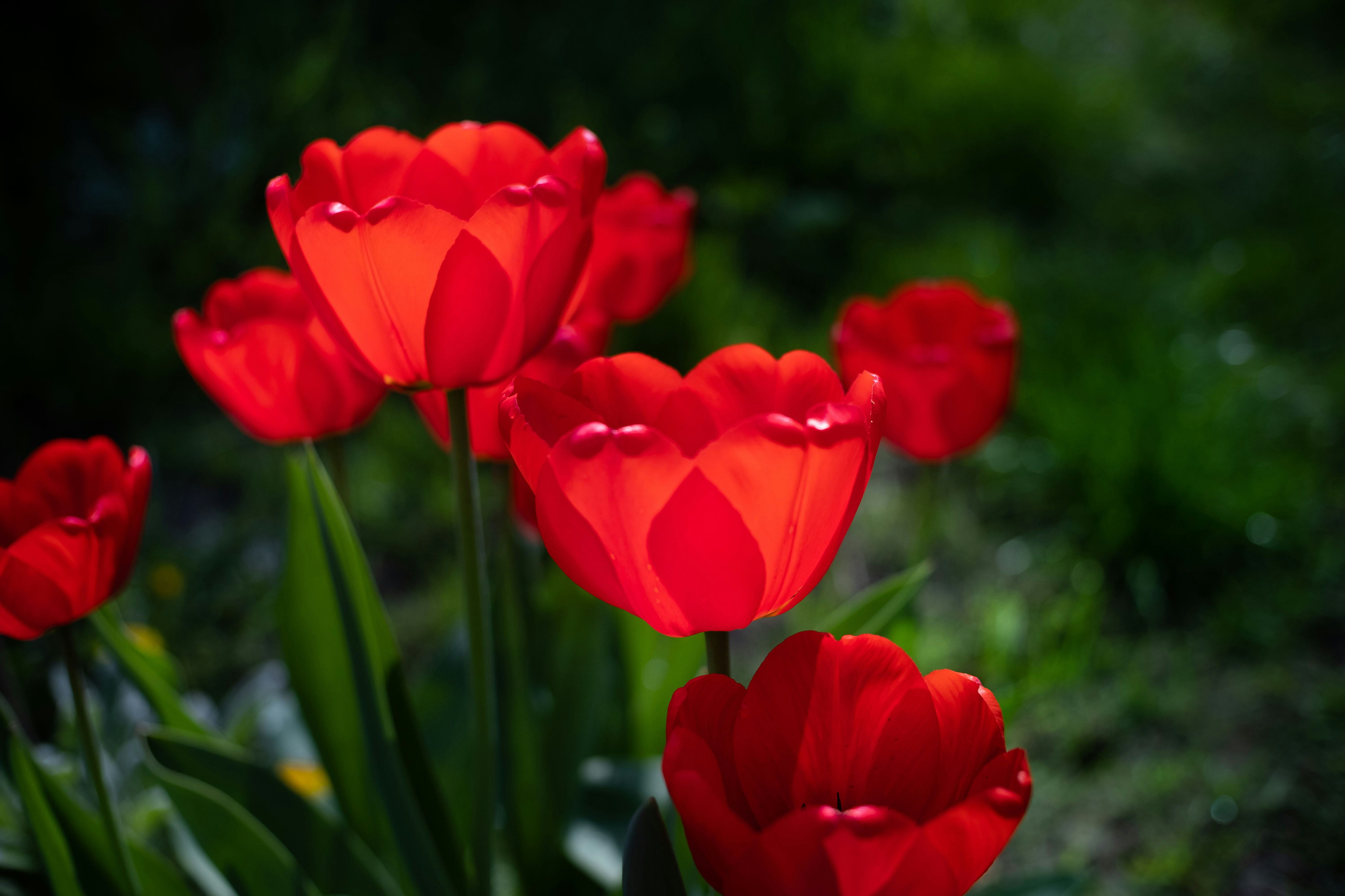 Photo by sevencolors