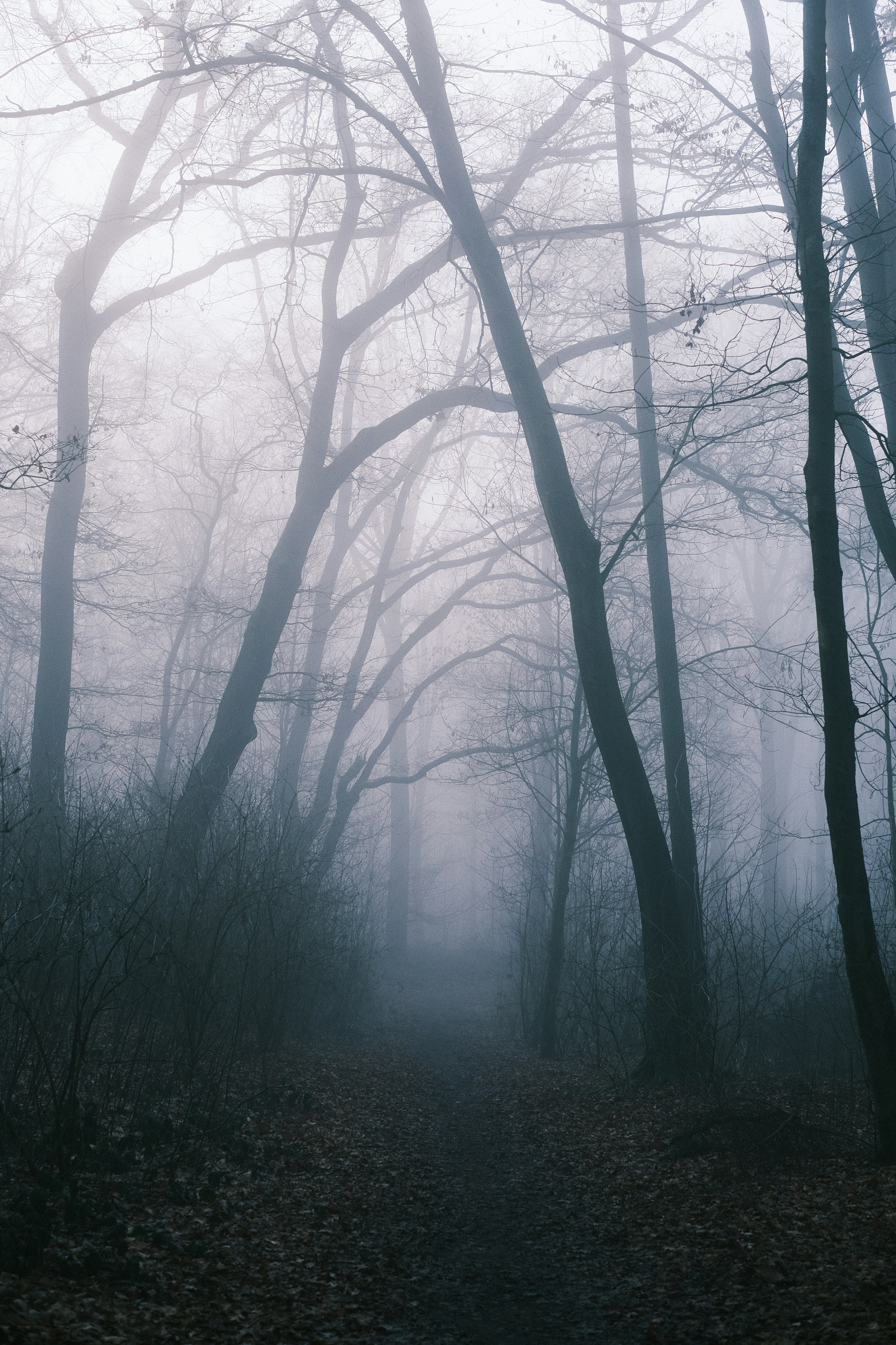 Photo by visualsbying