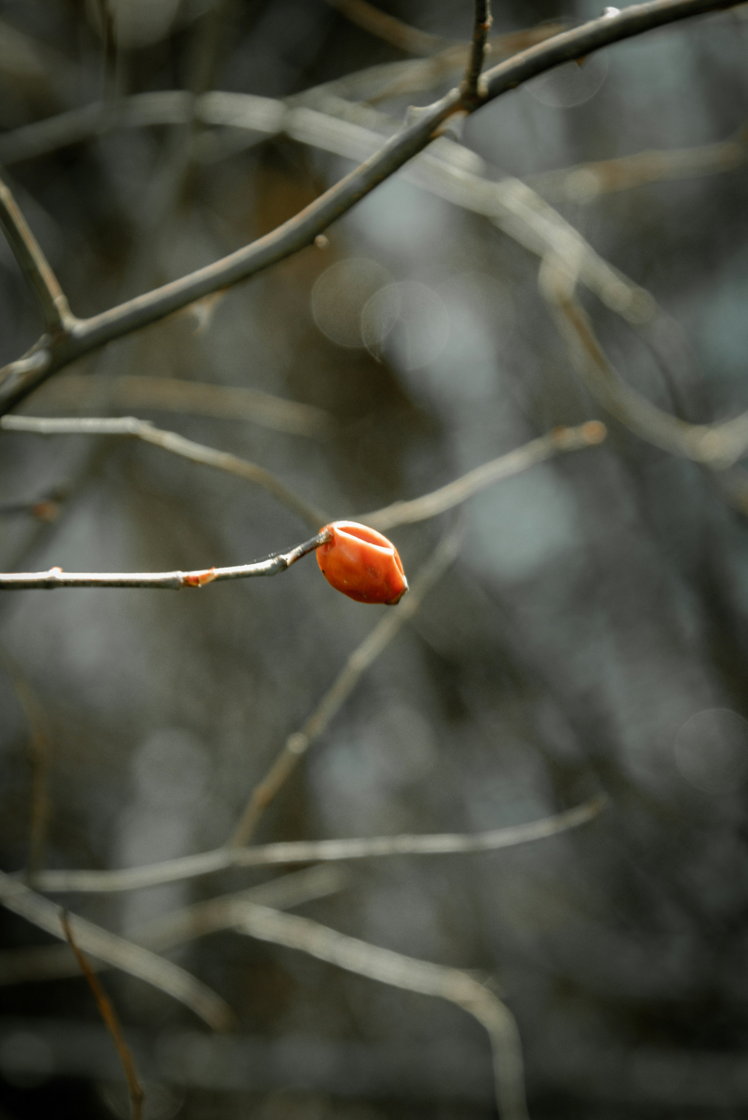 Photo by malwinanogaj