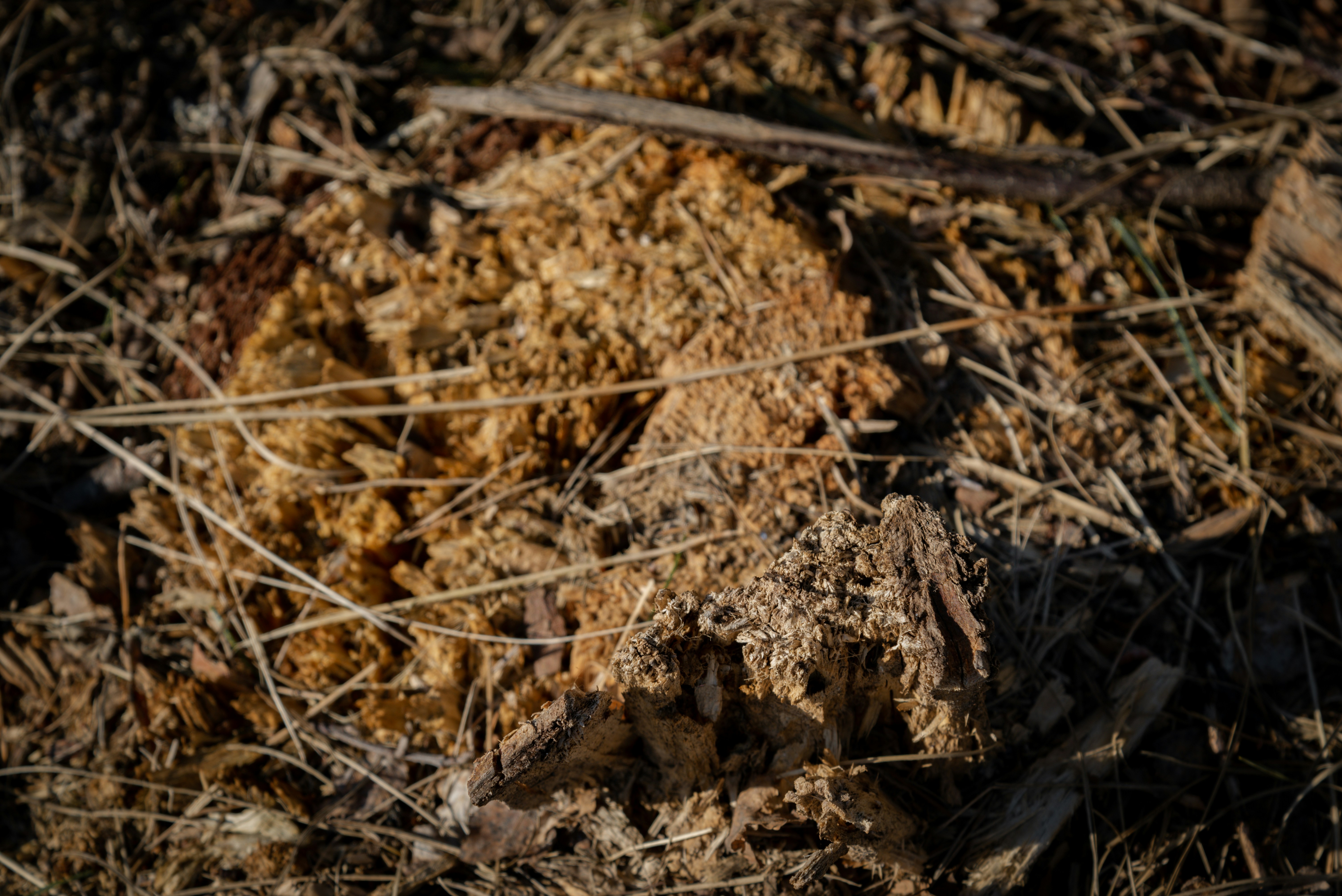 Photo by malwinanogaj