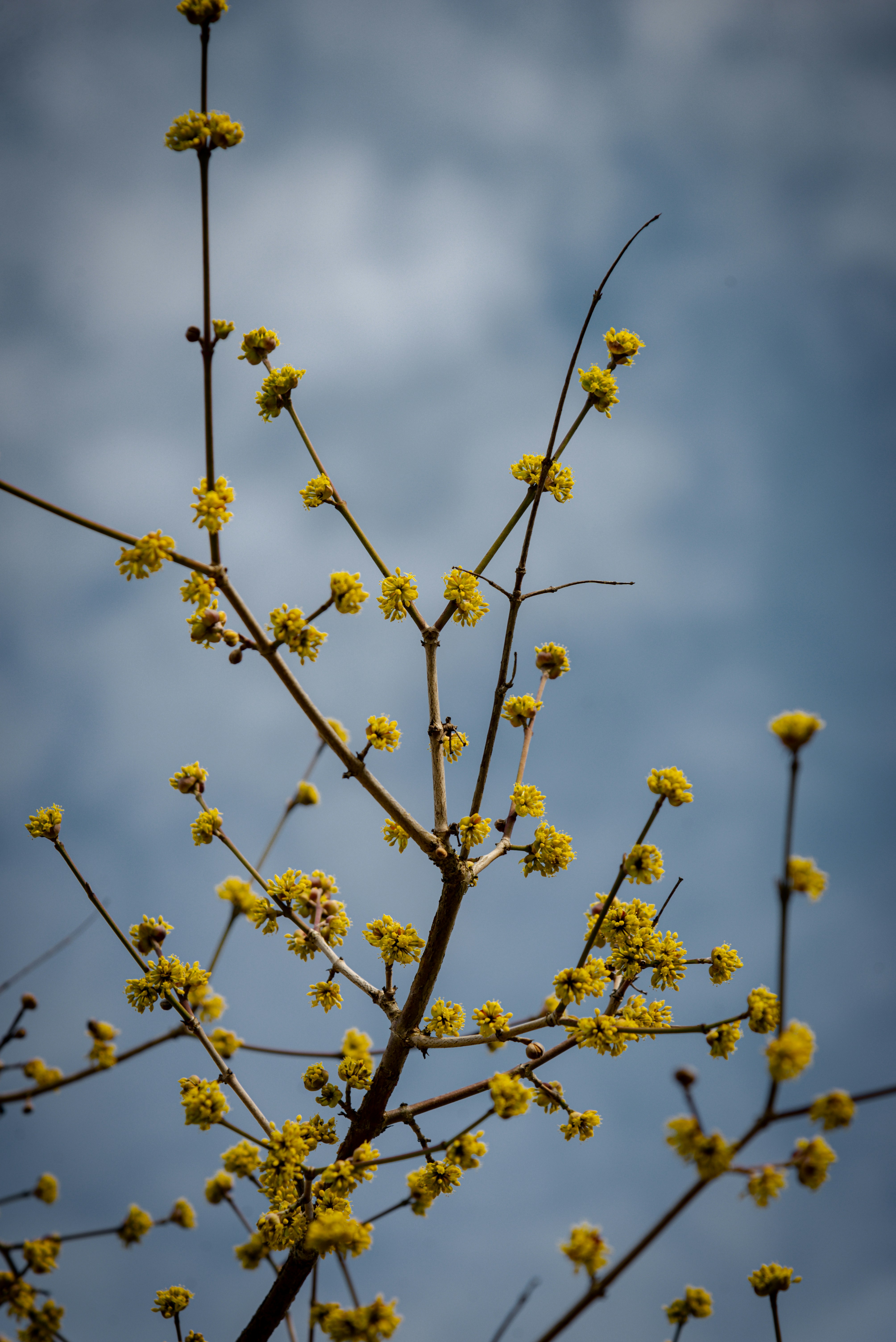 Photo by malwinanogaj