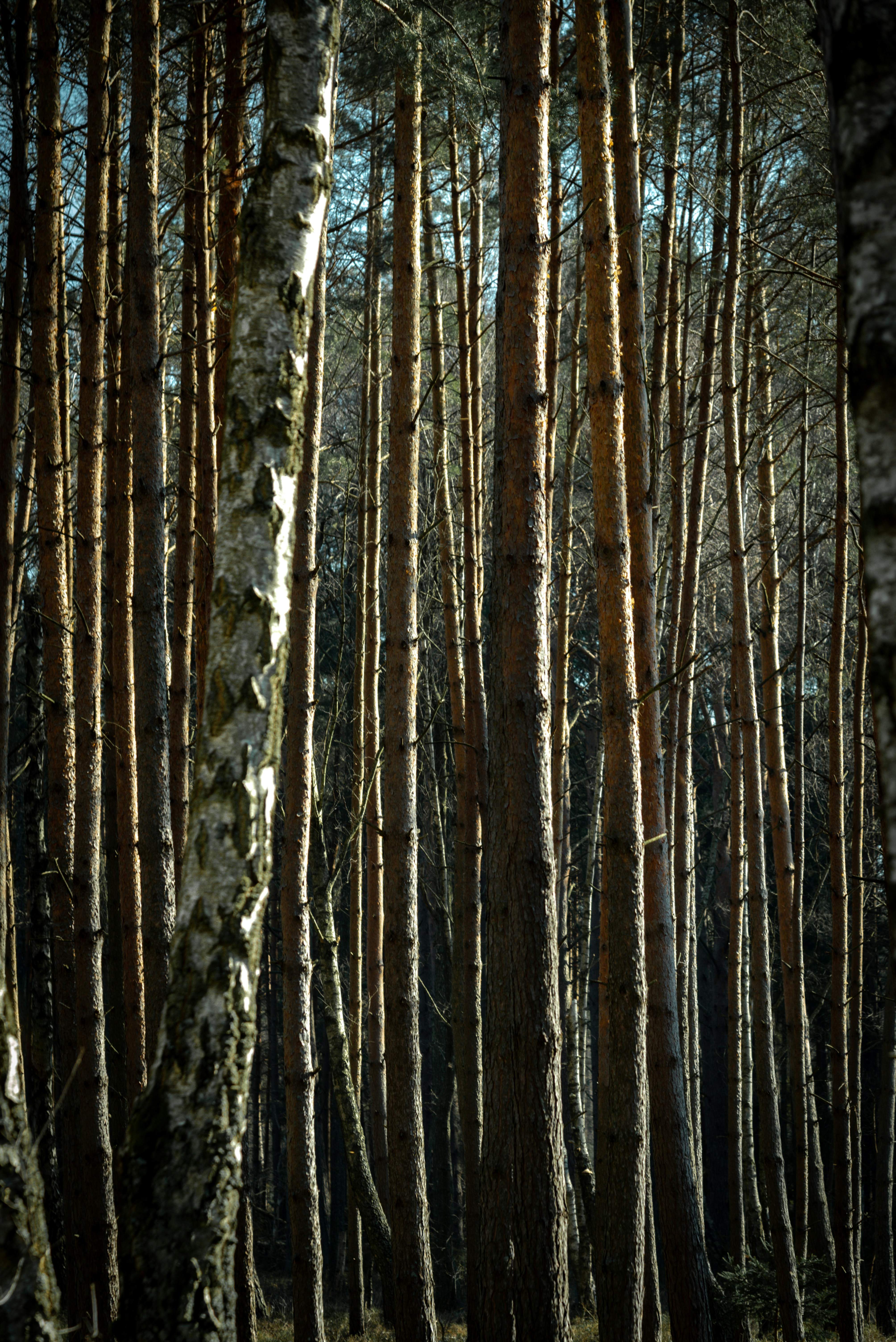 Photo by malwinanogaj