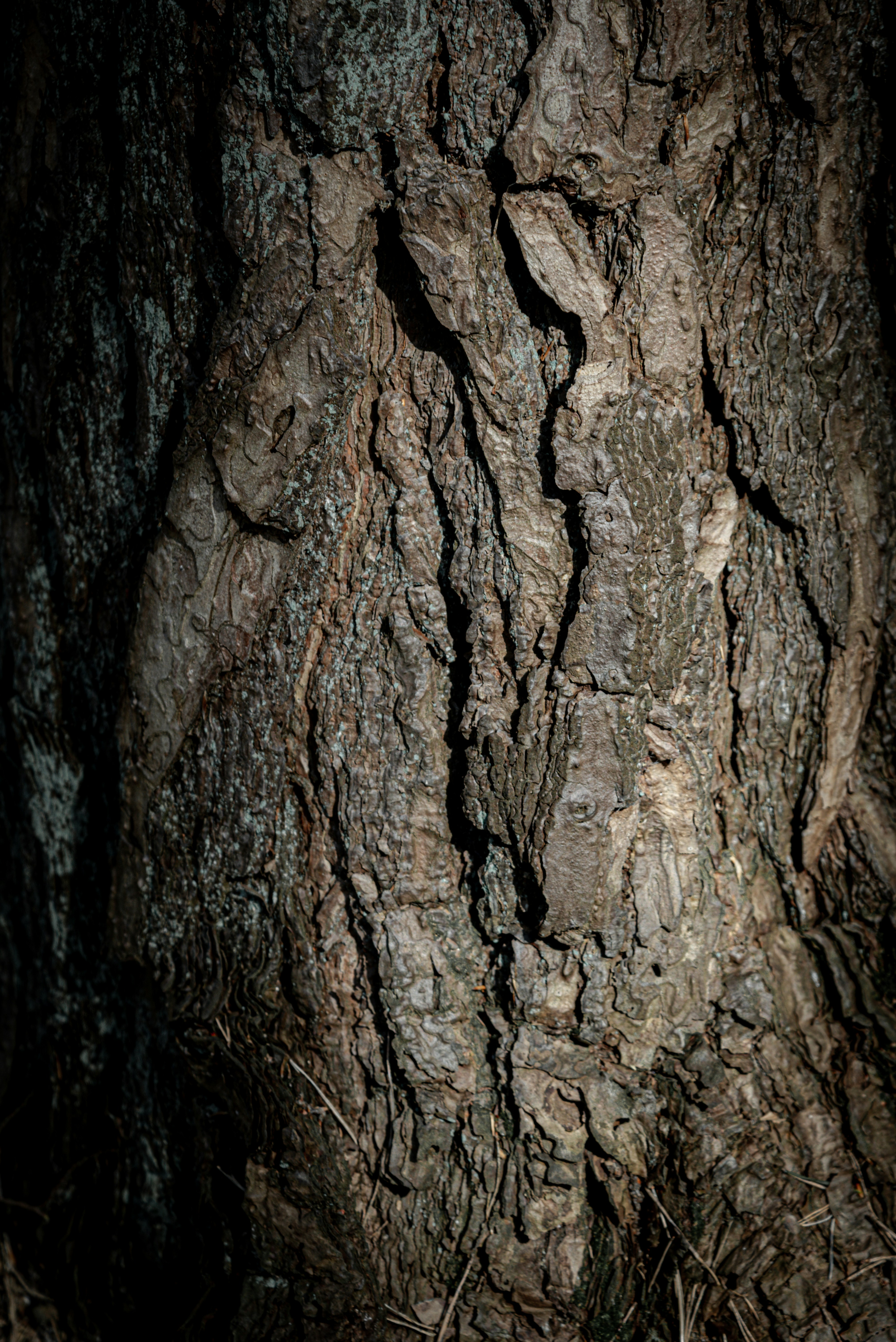 Photo by malwinanogaj