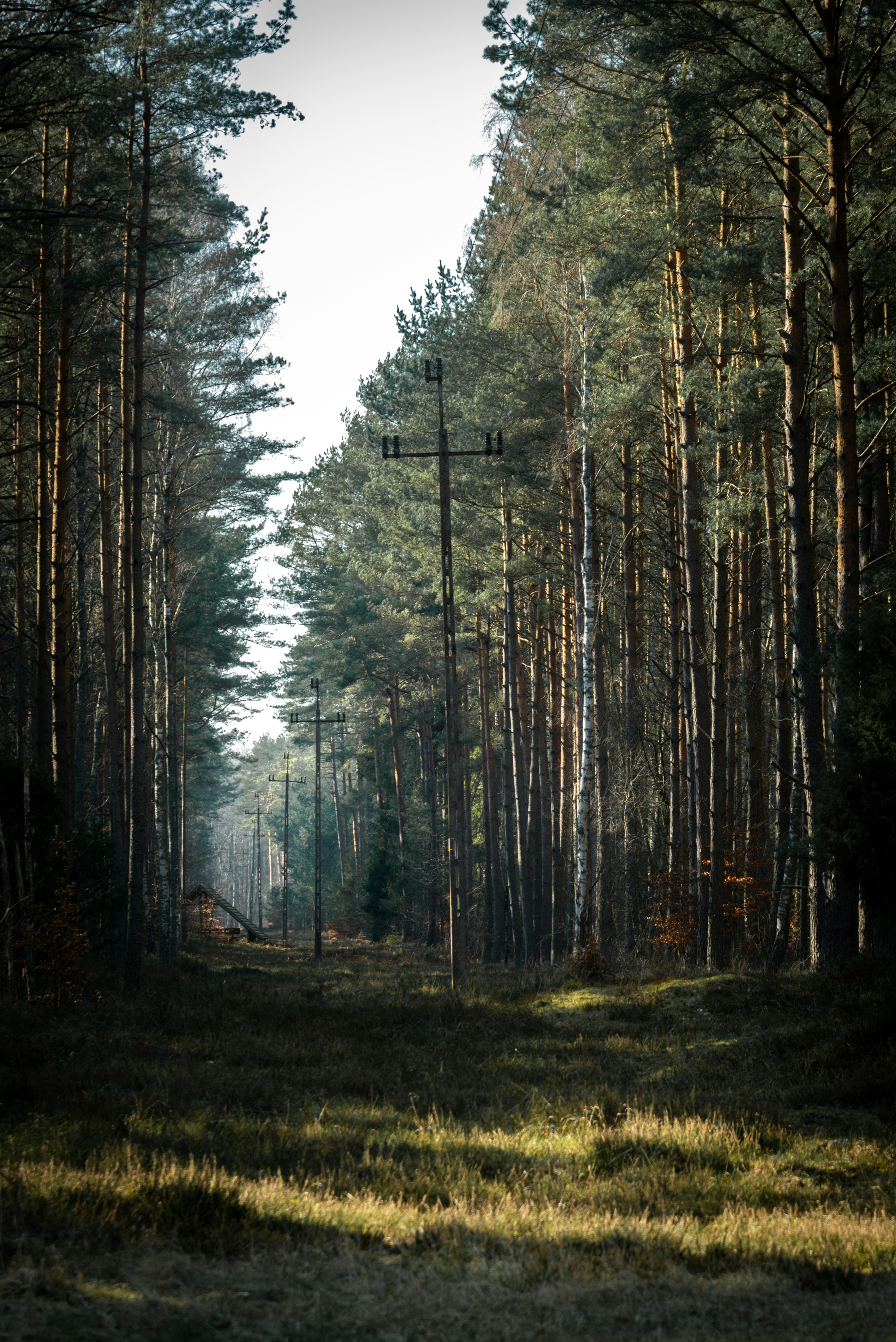 Photo by malwinanogaj