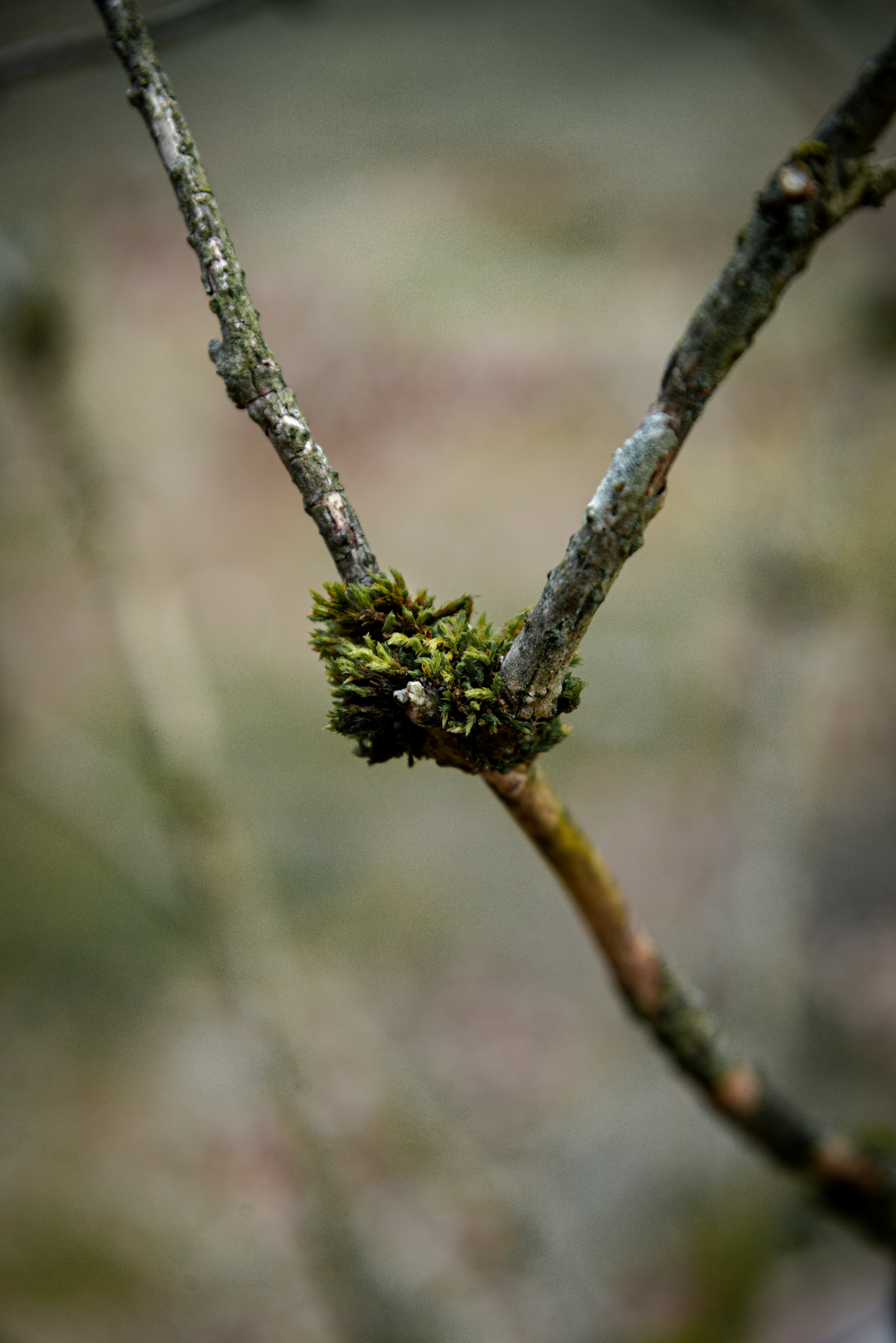 Photo by malwinanogaj