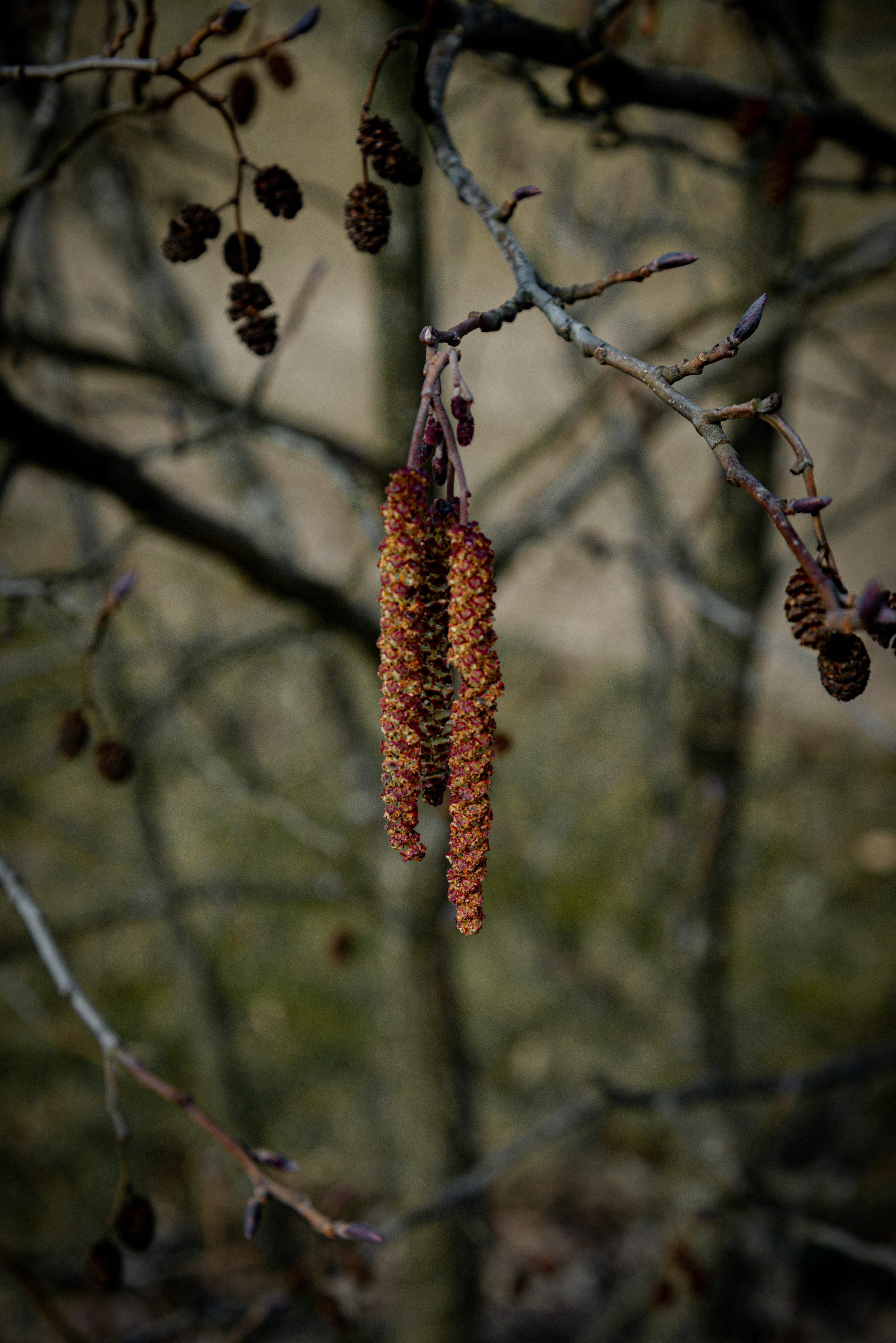 Photo by malwinanogaj