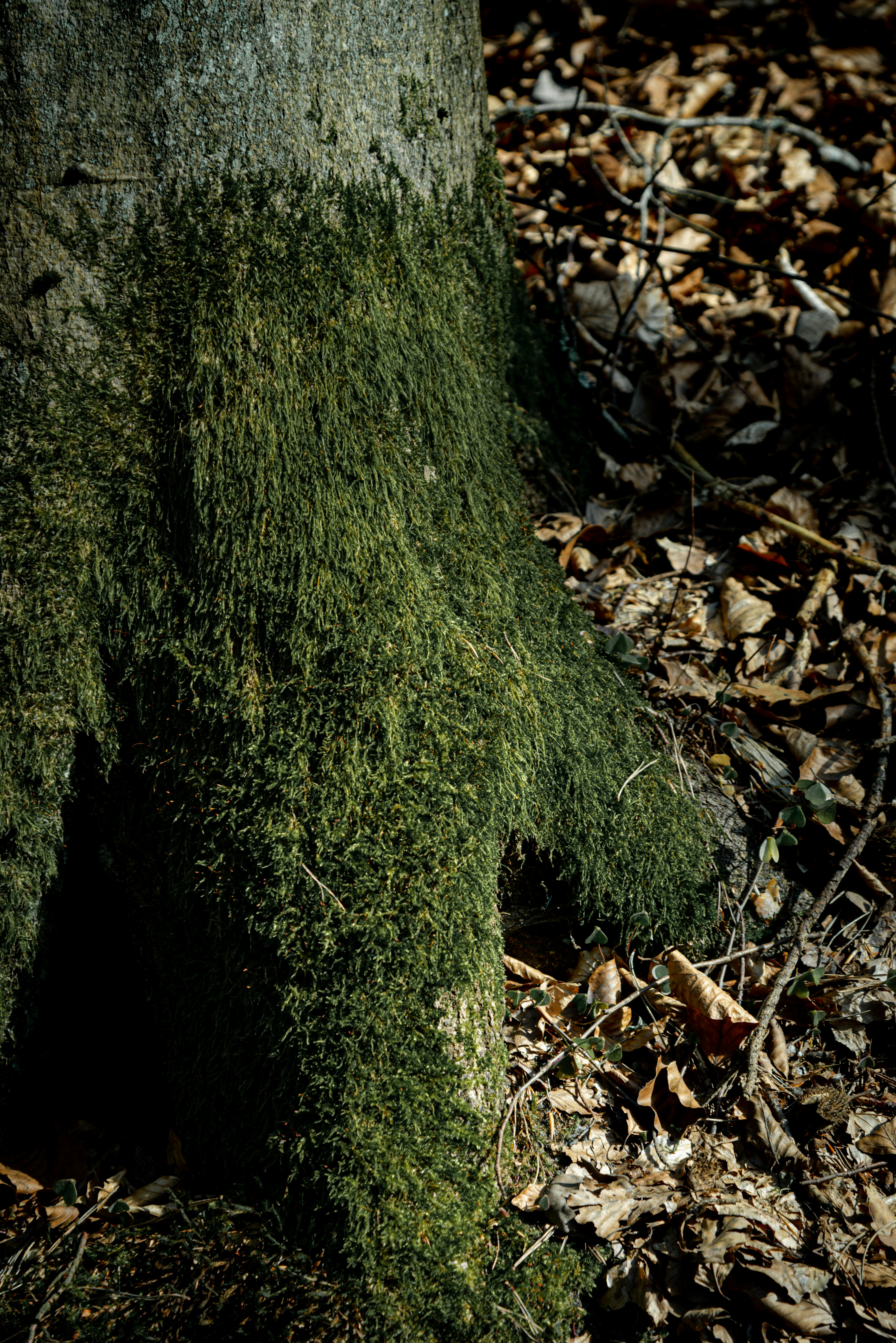 Photo by malwinanogaj