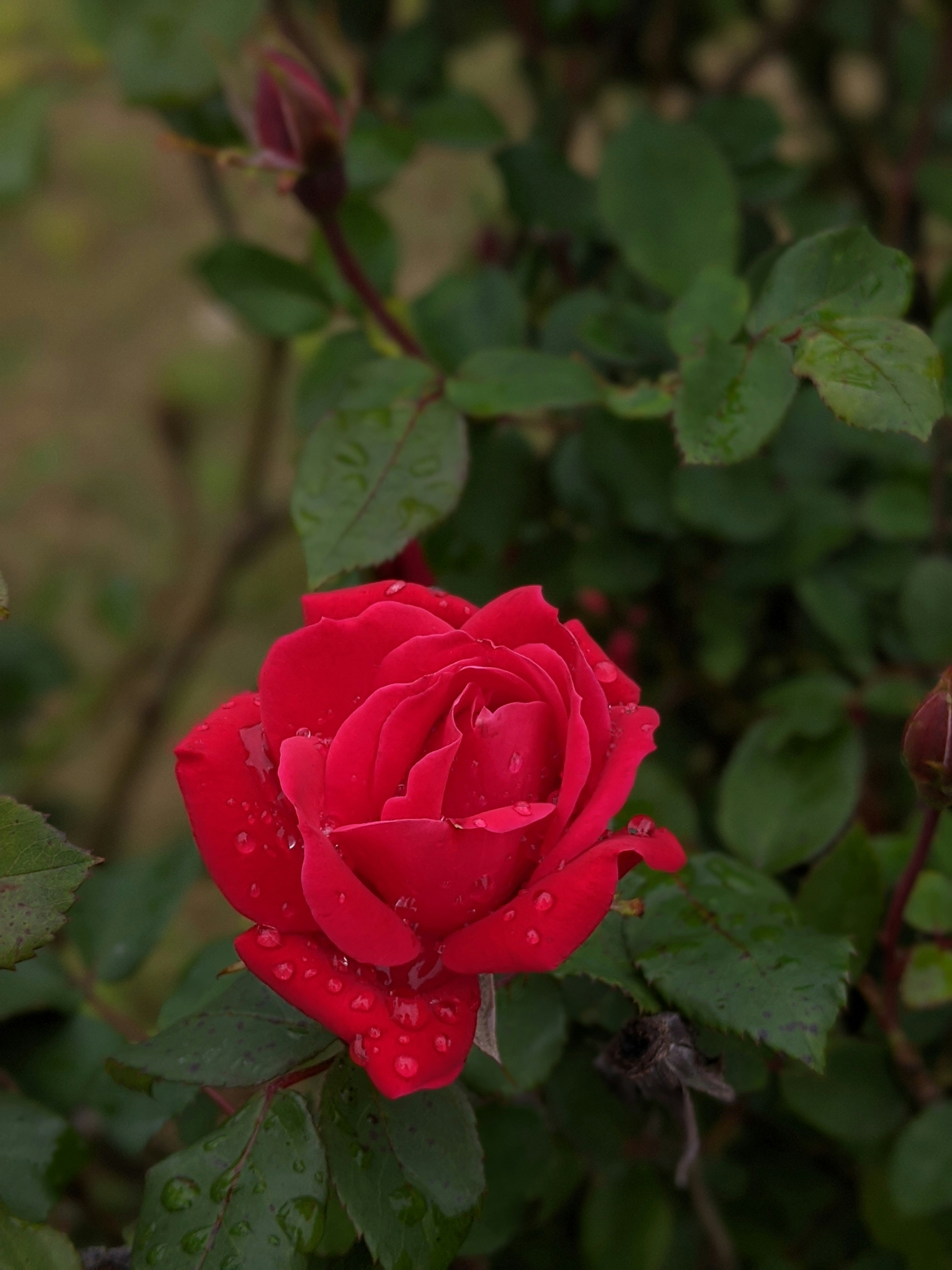 Photo by hannahlockabyphoto