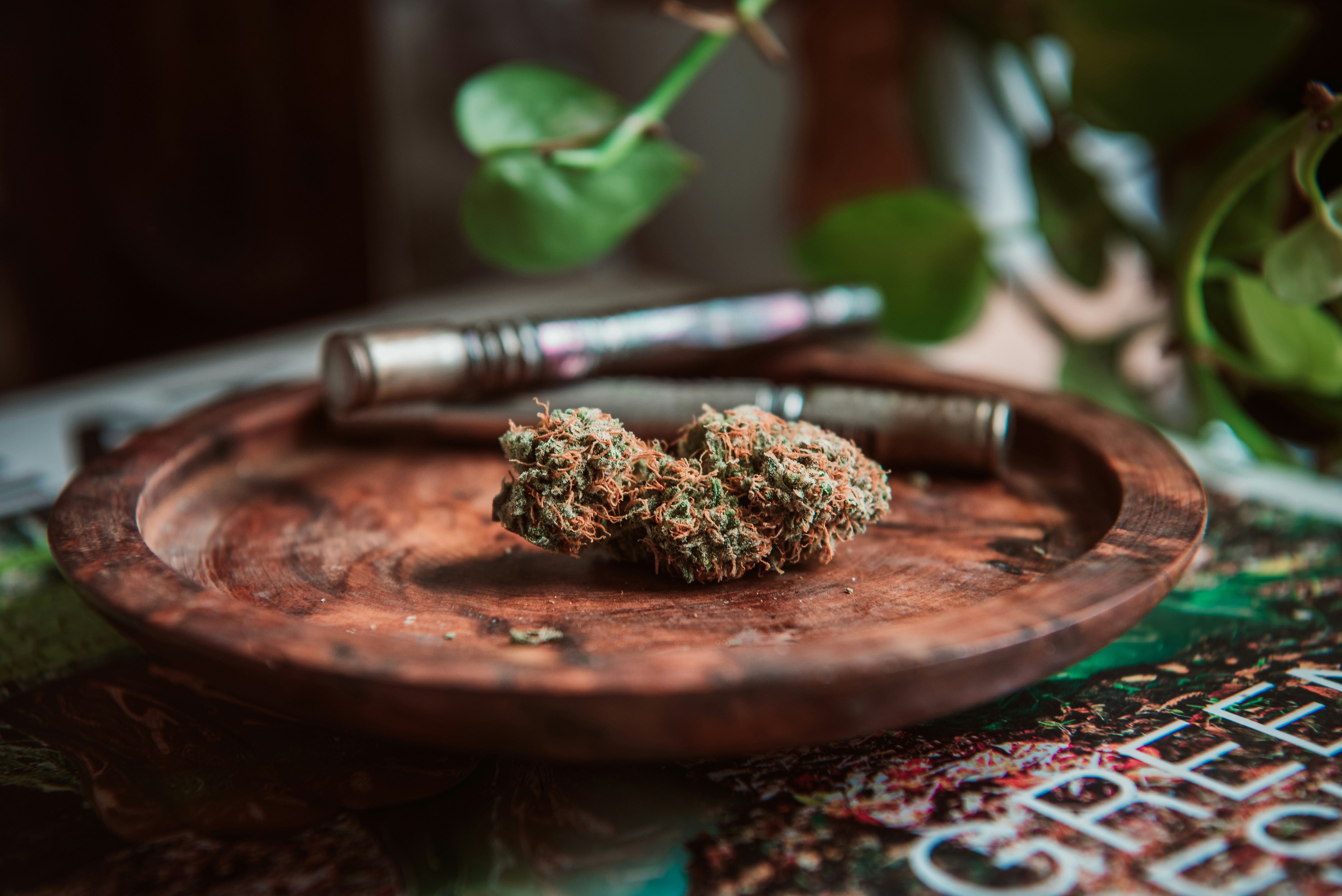 Photo by testeurdecbd