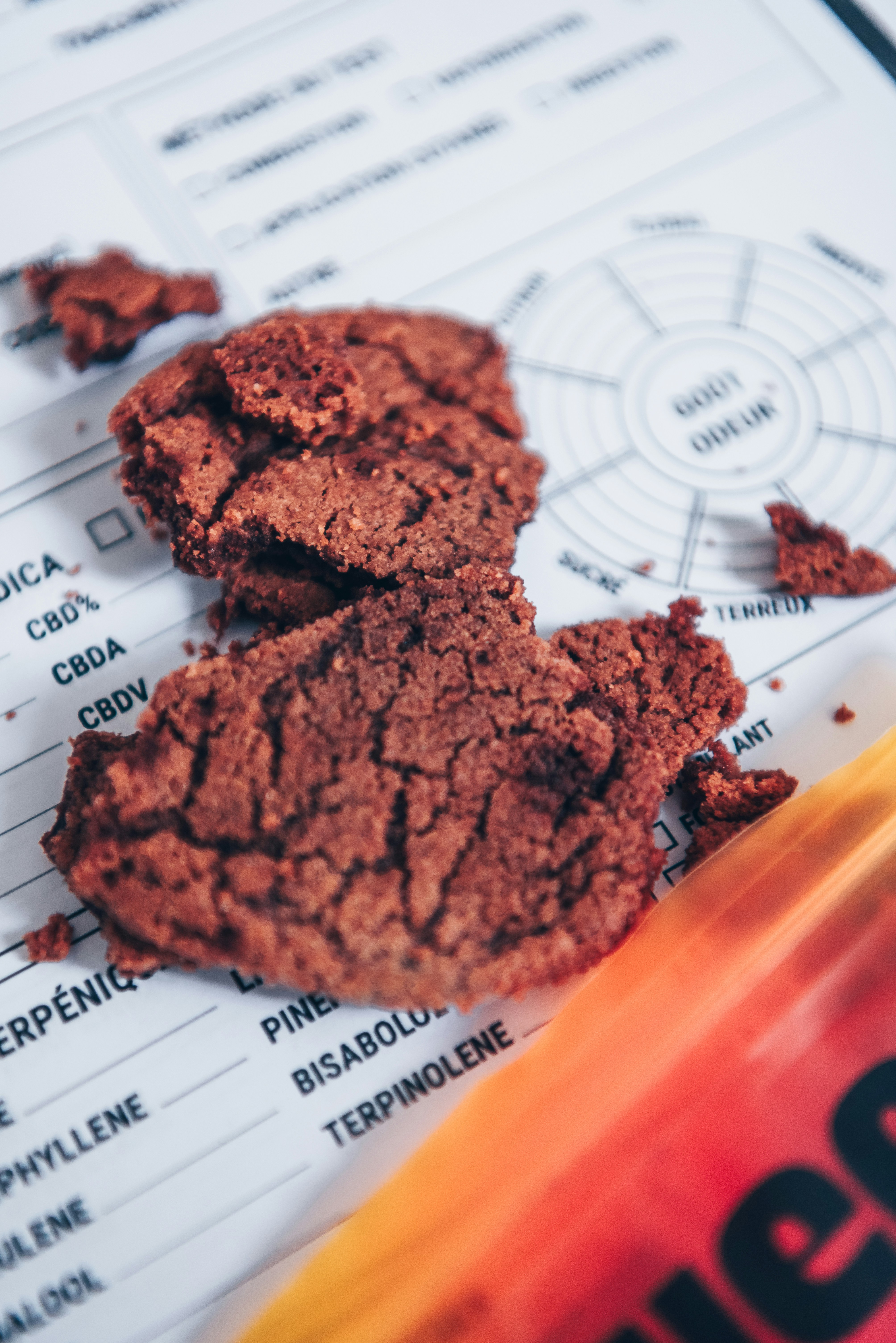 Broken chocolate cookie rests on paperwork.