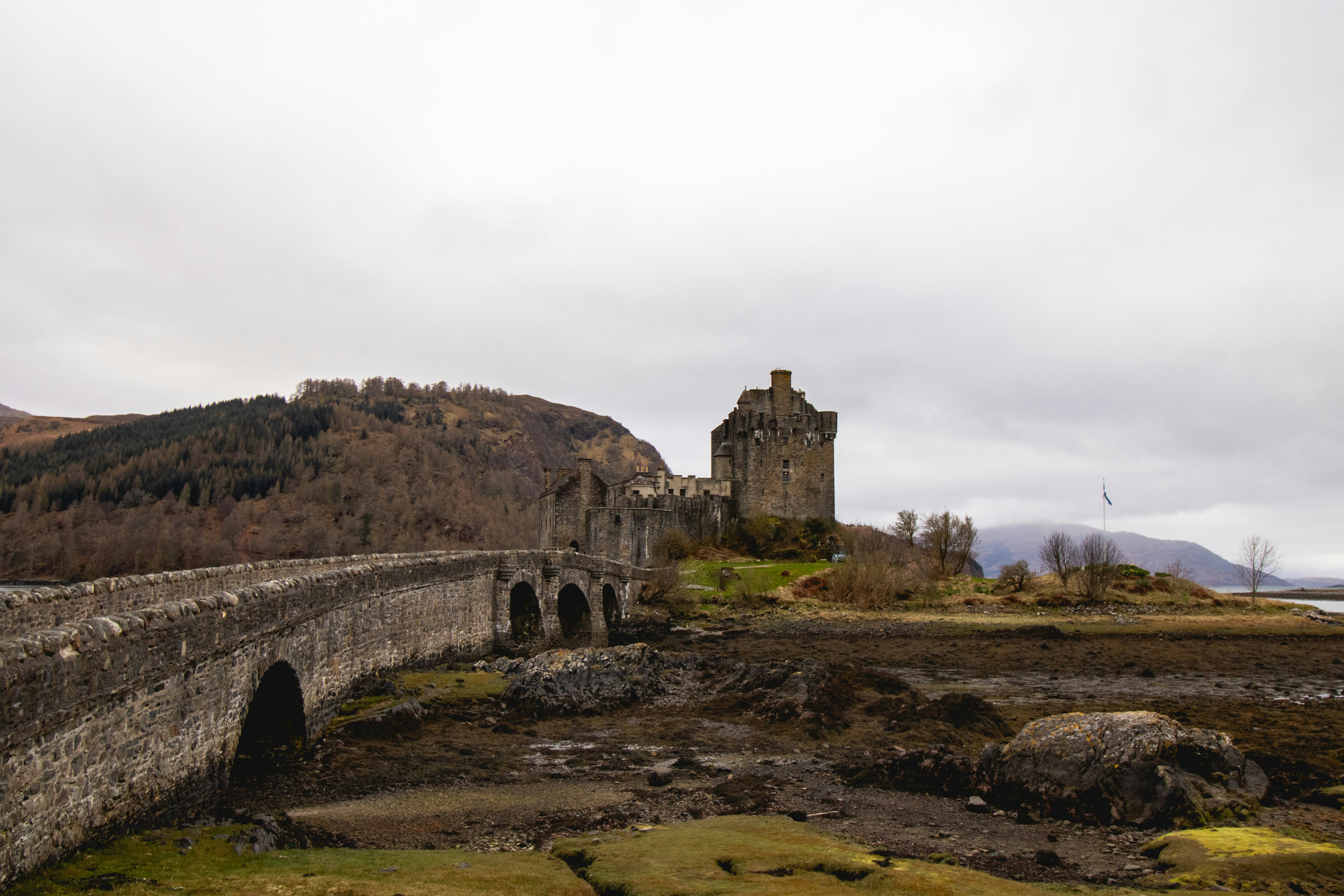 Photo by tpminettphotography